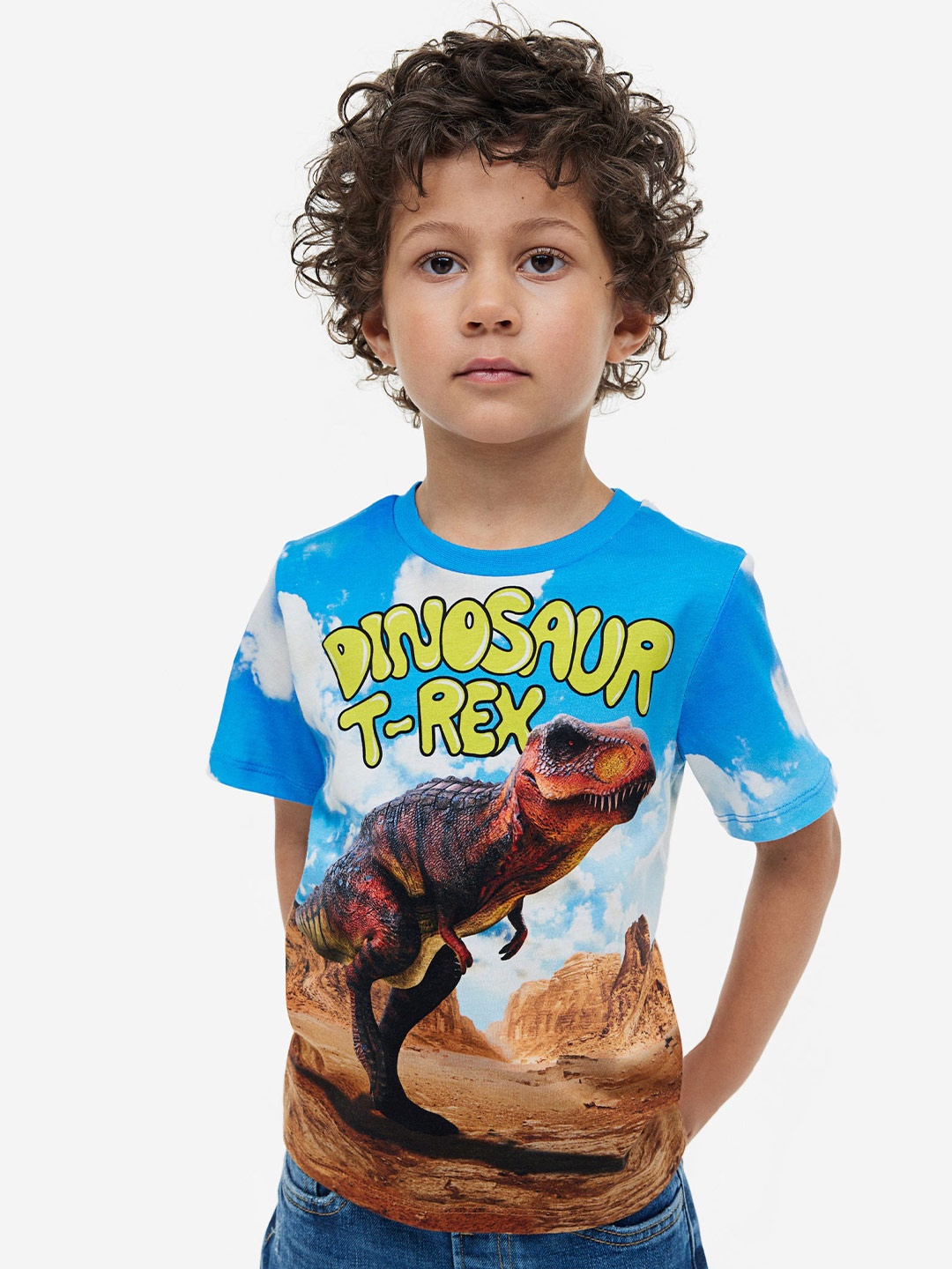 

H&M Boys Pure Cotton Printed Jersey T-shirt, Blue