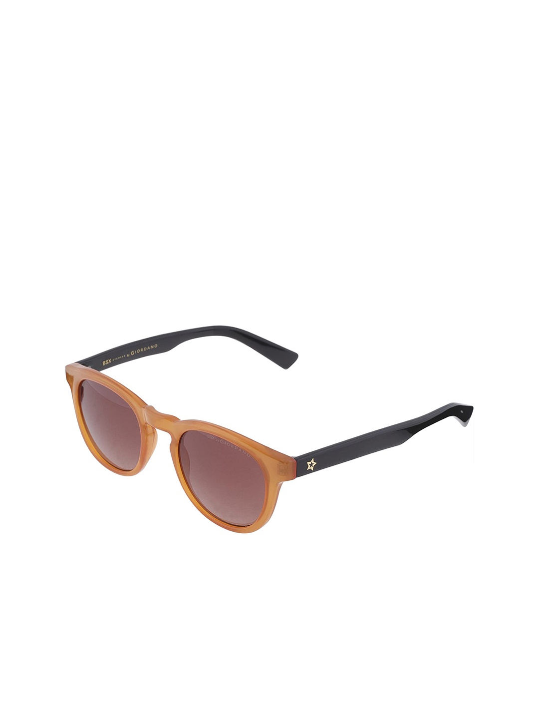 

GIORDANO Lens & Oval Sunglasses With UV Protected Lens, Brown