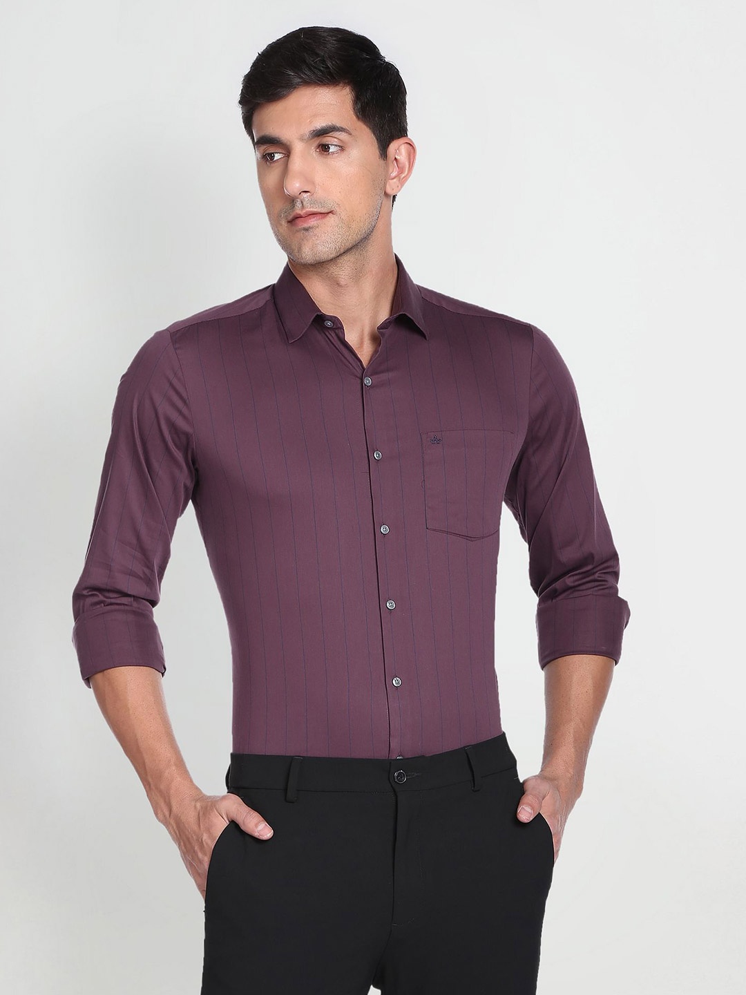 

Arrow Slim Fit Vertical Striped Casual Shirt, Purple