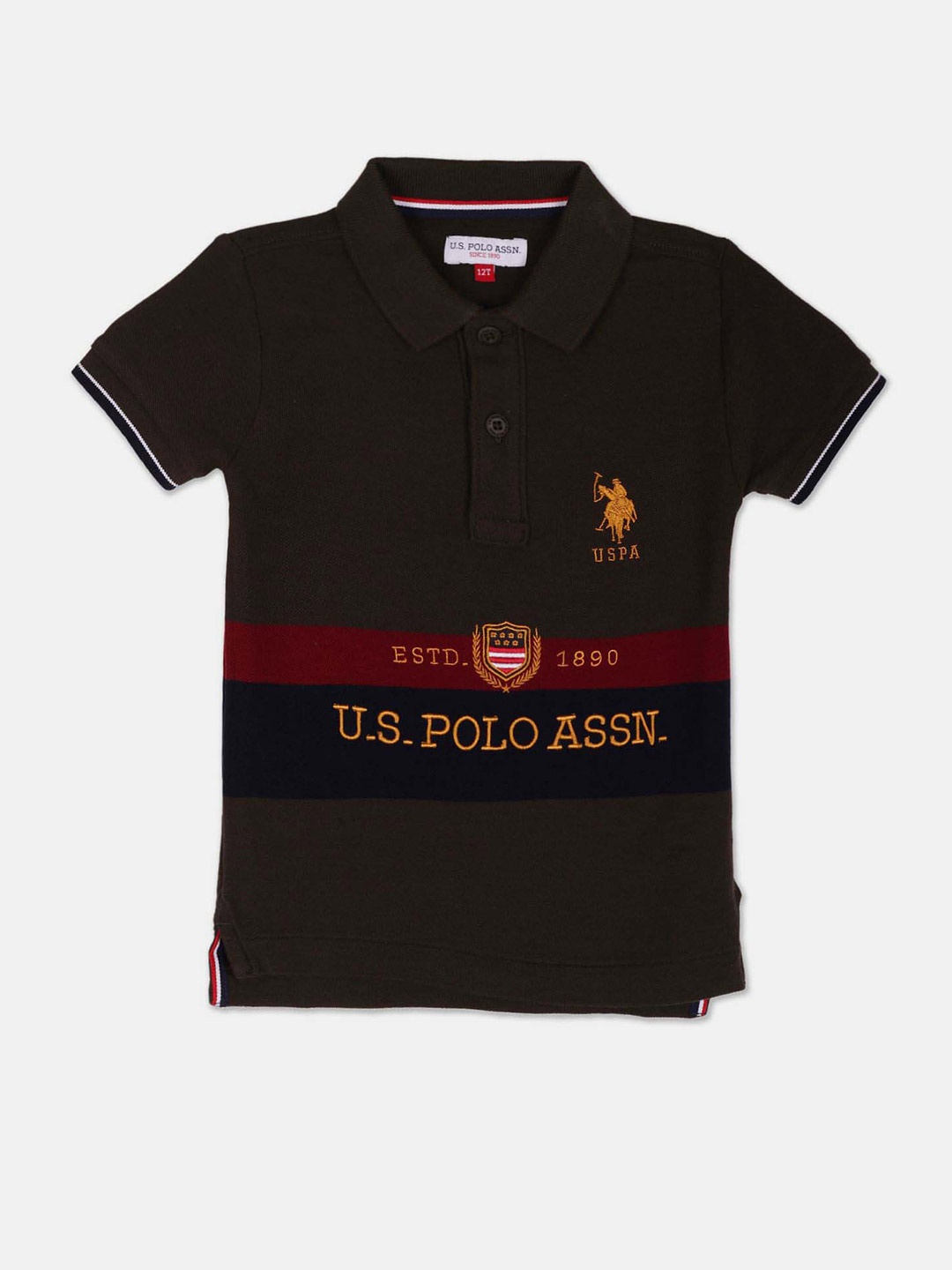 

U.S. Polo Assn. Kids Boys Colourblocked Polo Collar Pure Cotton T-shirt, Green