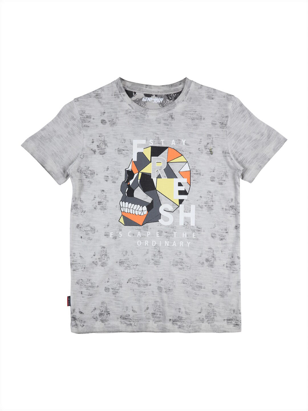

Gini and Jony Infants Boys Graphic Printed Cotton T-shirt, Grey