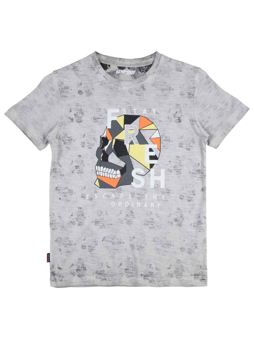 

Gini and Jony Boys Printed Round Neck Cotton T-shirt, Grey