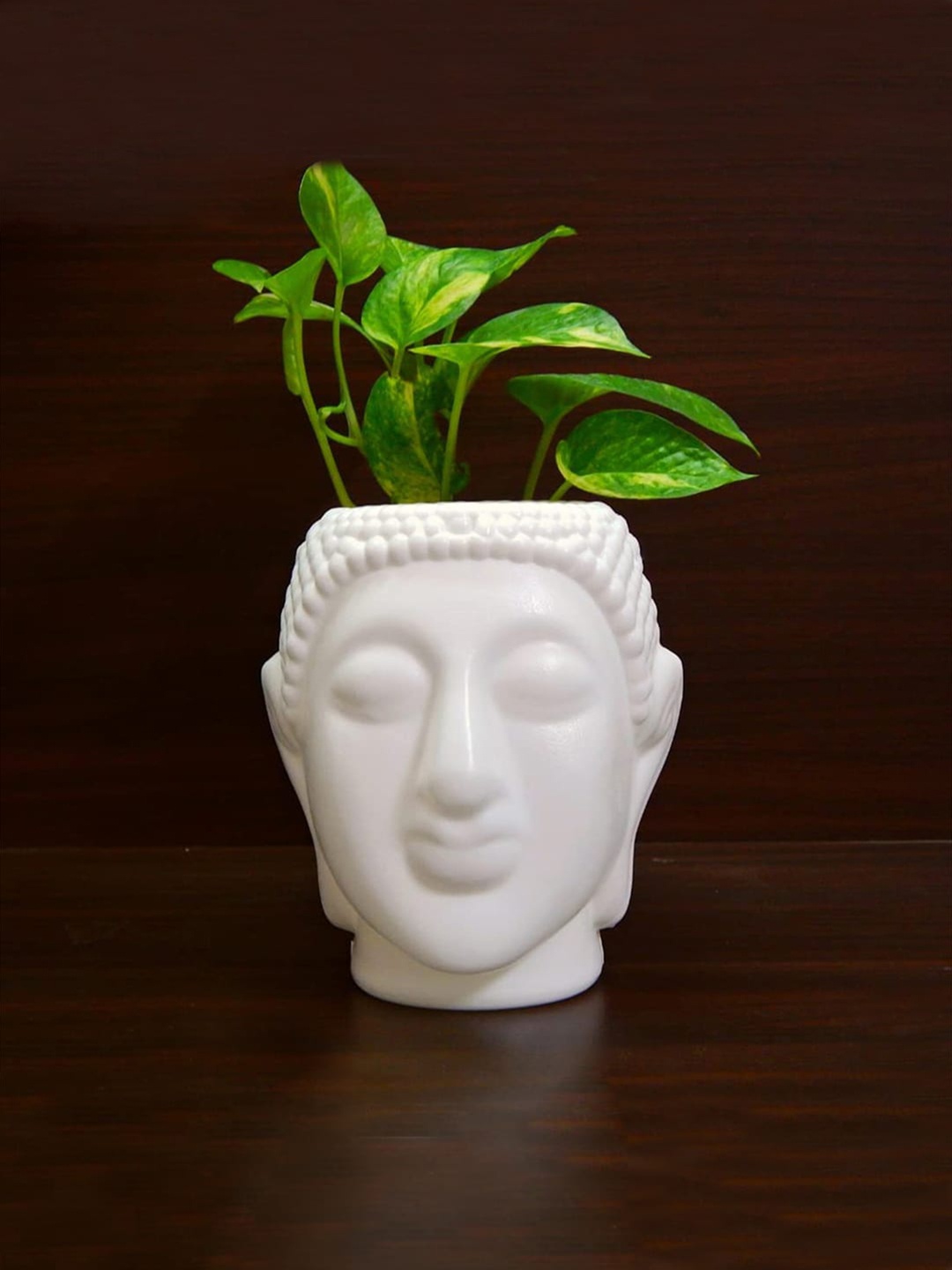 

Kuber Industries White 3 Pcs Buddha Flower Planters