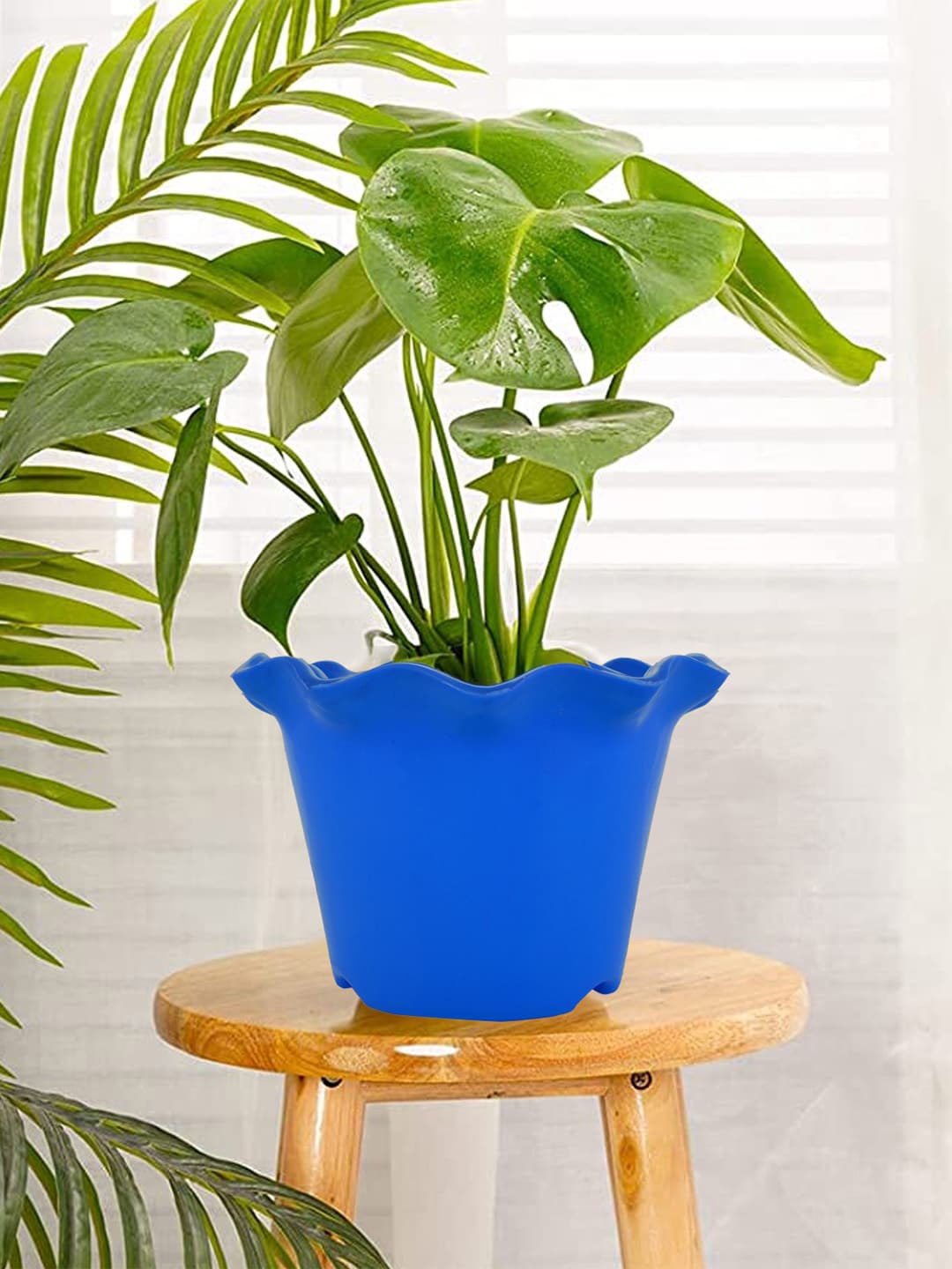 

Kuber Industries Blue 5 Pcs Blossom Planters