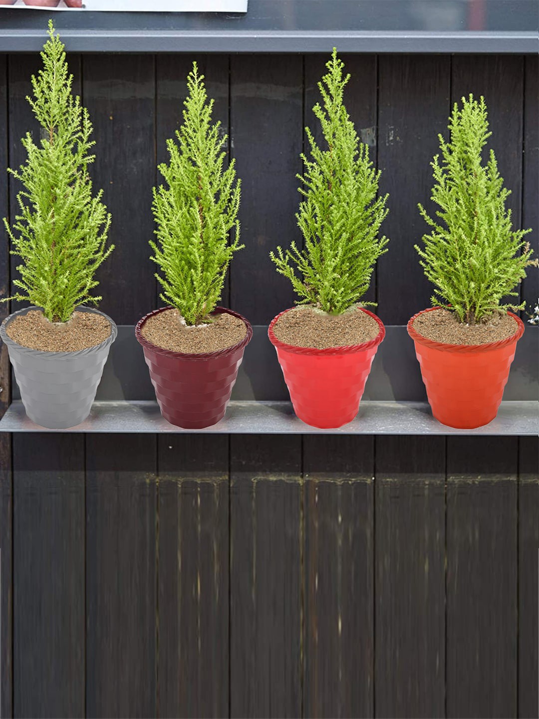 

Kuber Industries Grey & Brown 3 Pcs Planters