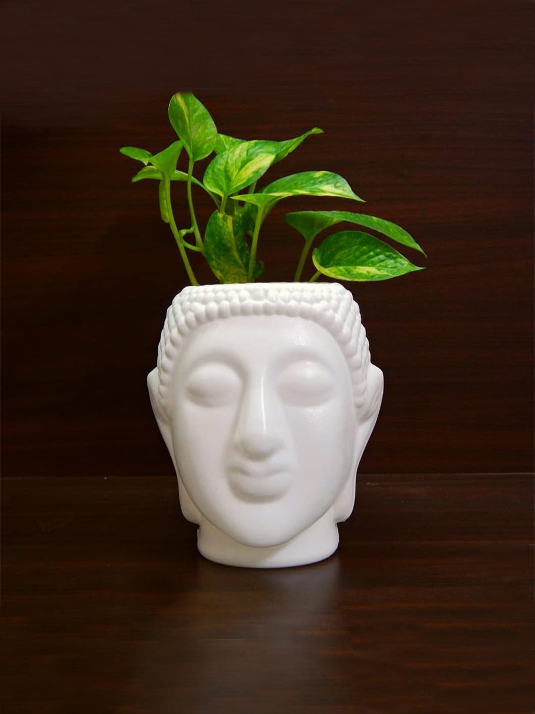 

Kuber Industries White 4 Pieces Buddha Head Shape Flower Planters