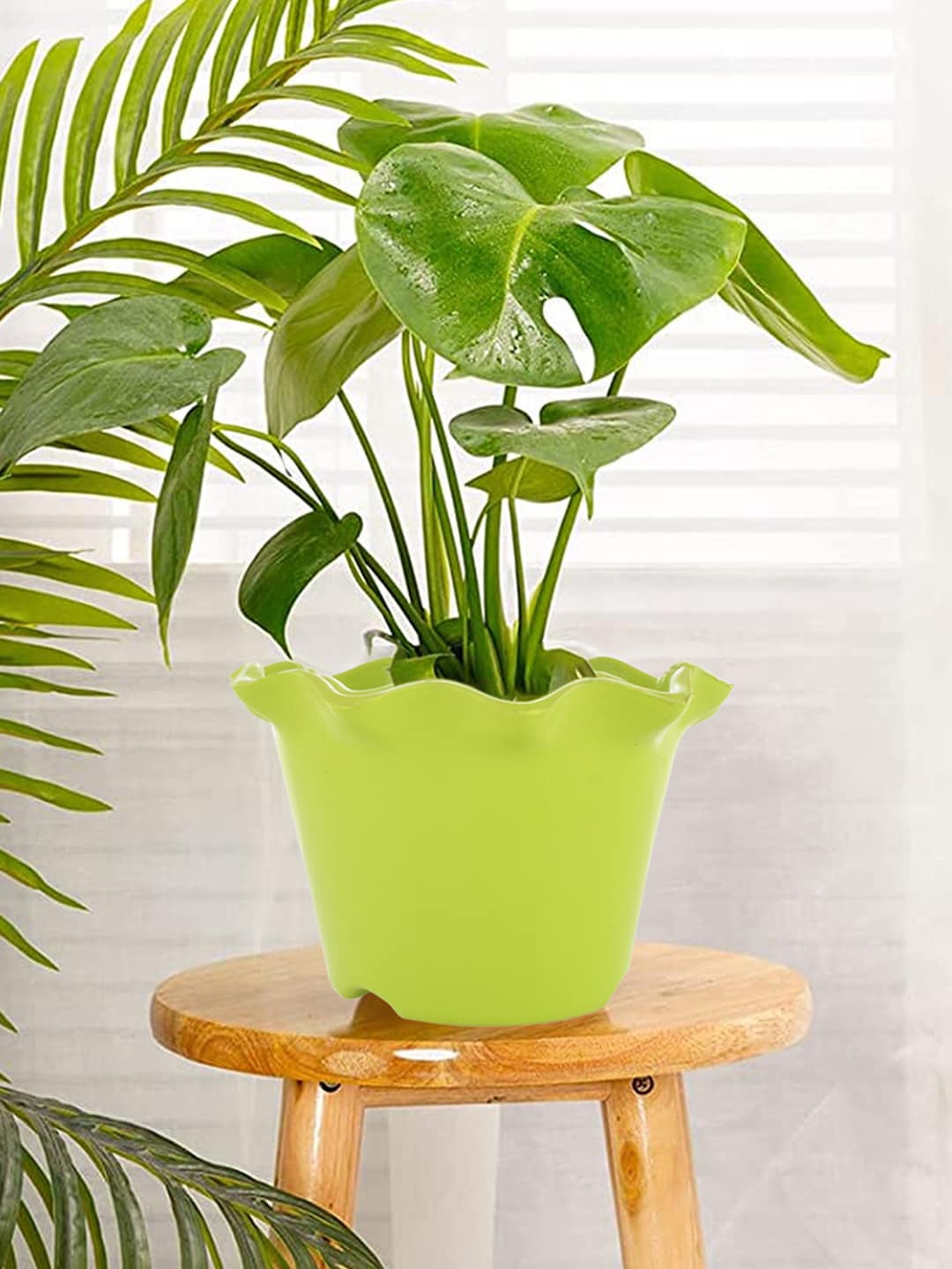 

Kuber Industries Green 5 Pcs Solid Blossom Flower Pot with Drain Holes