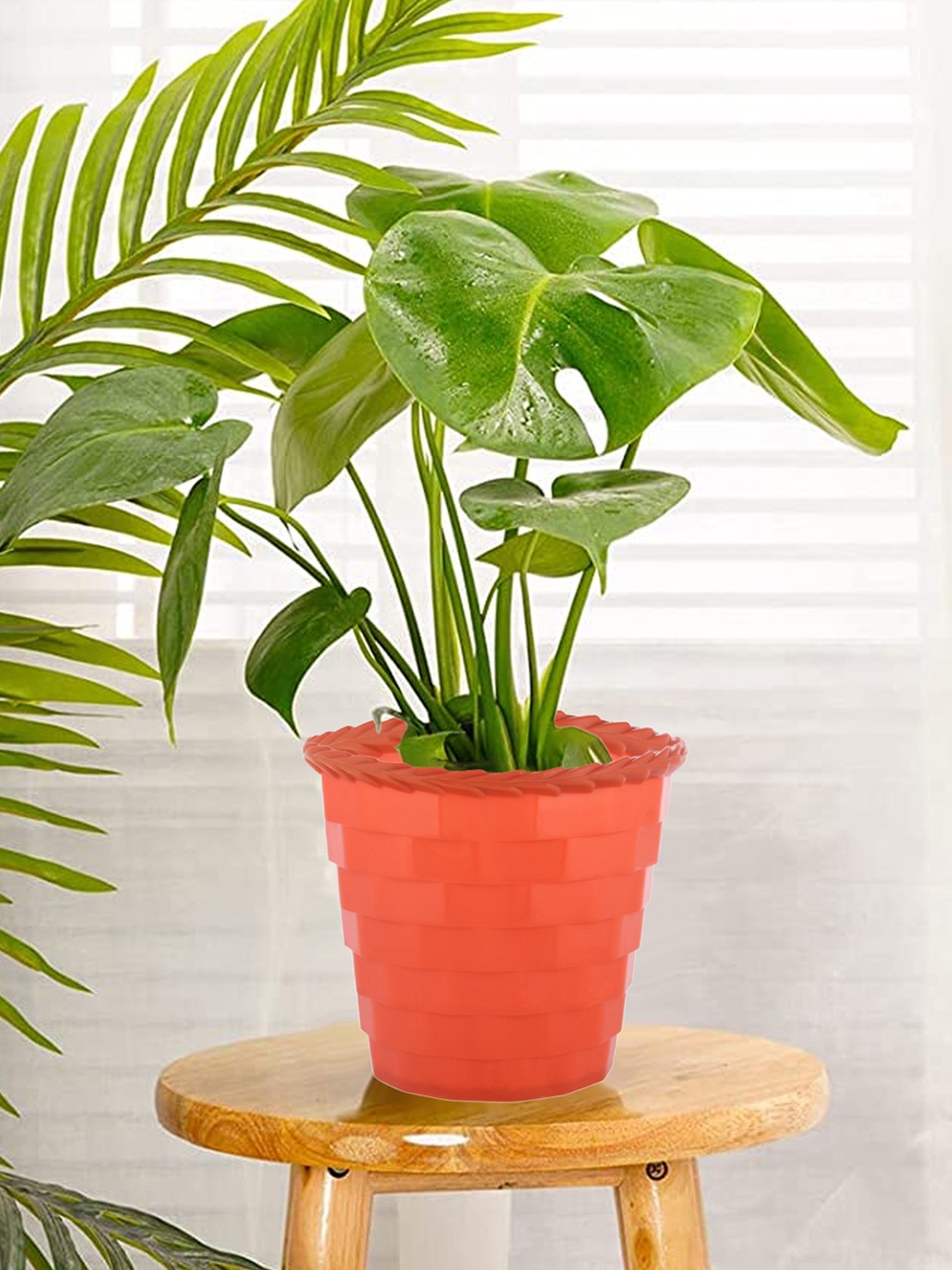

Kuber Industries Pack of 5 Orange Solid Single Hook Planters