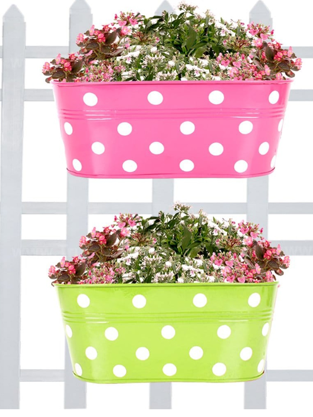 

TRUSTBASKET 2-Pcs Magenta & Green Dotted Oval Railing Planters
