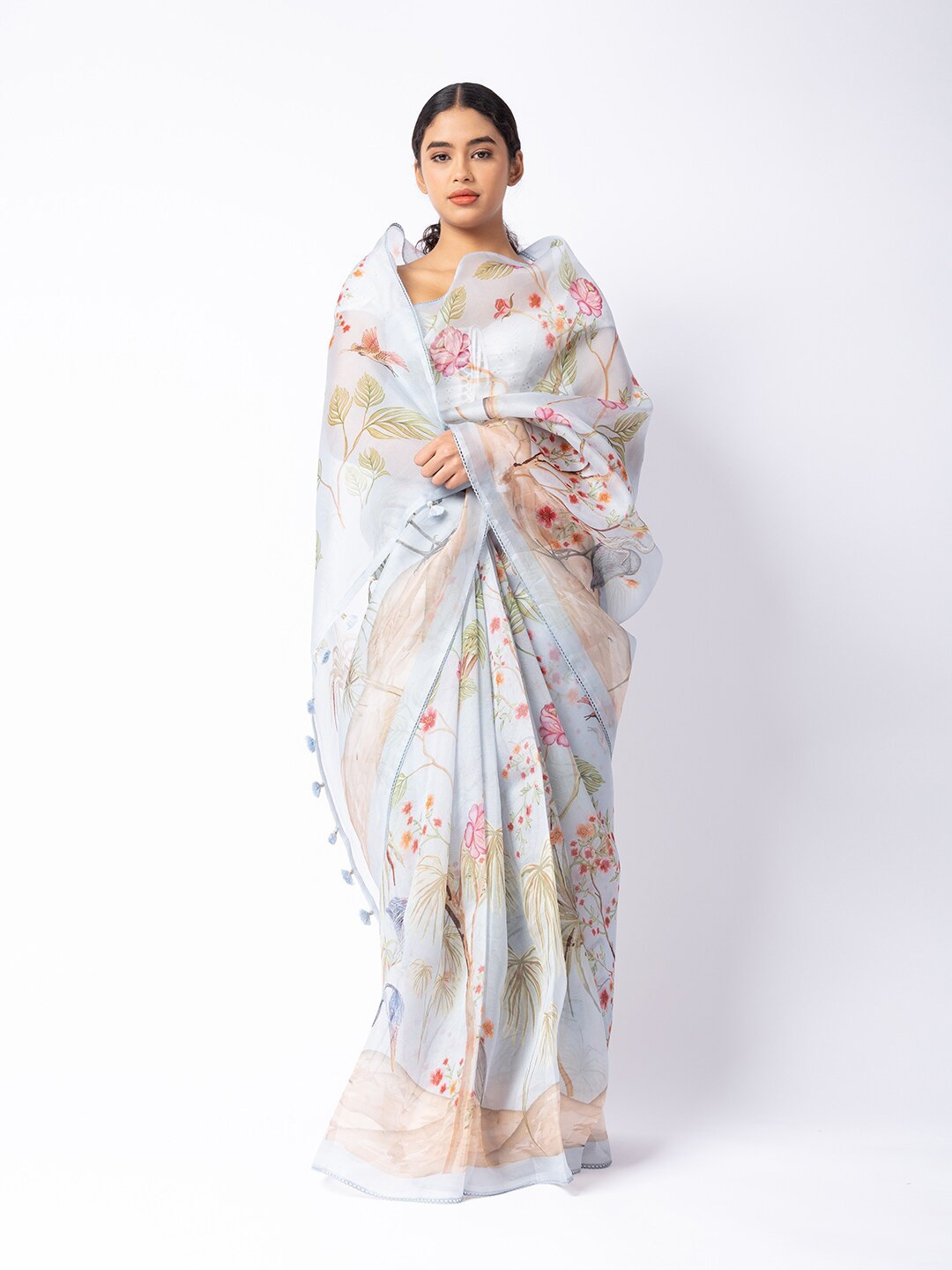 

ReshaWeaves Floral Organza Saree With Tassle Border, Blue
