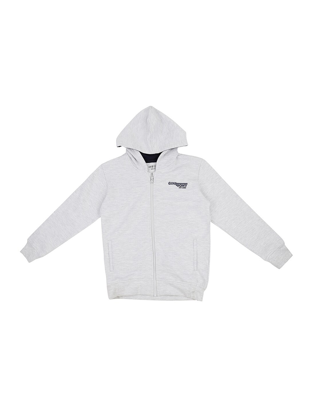 

Gini and Jony Boys Printed Hooded Cotton Sweatshirt, Grey