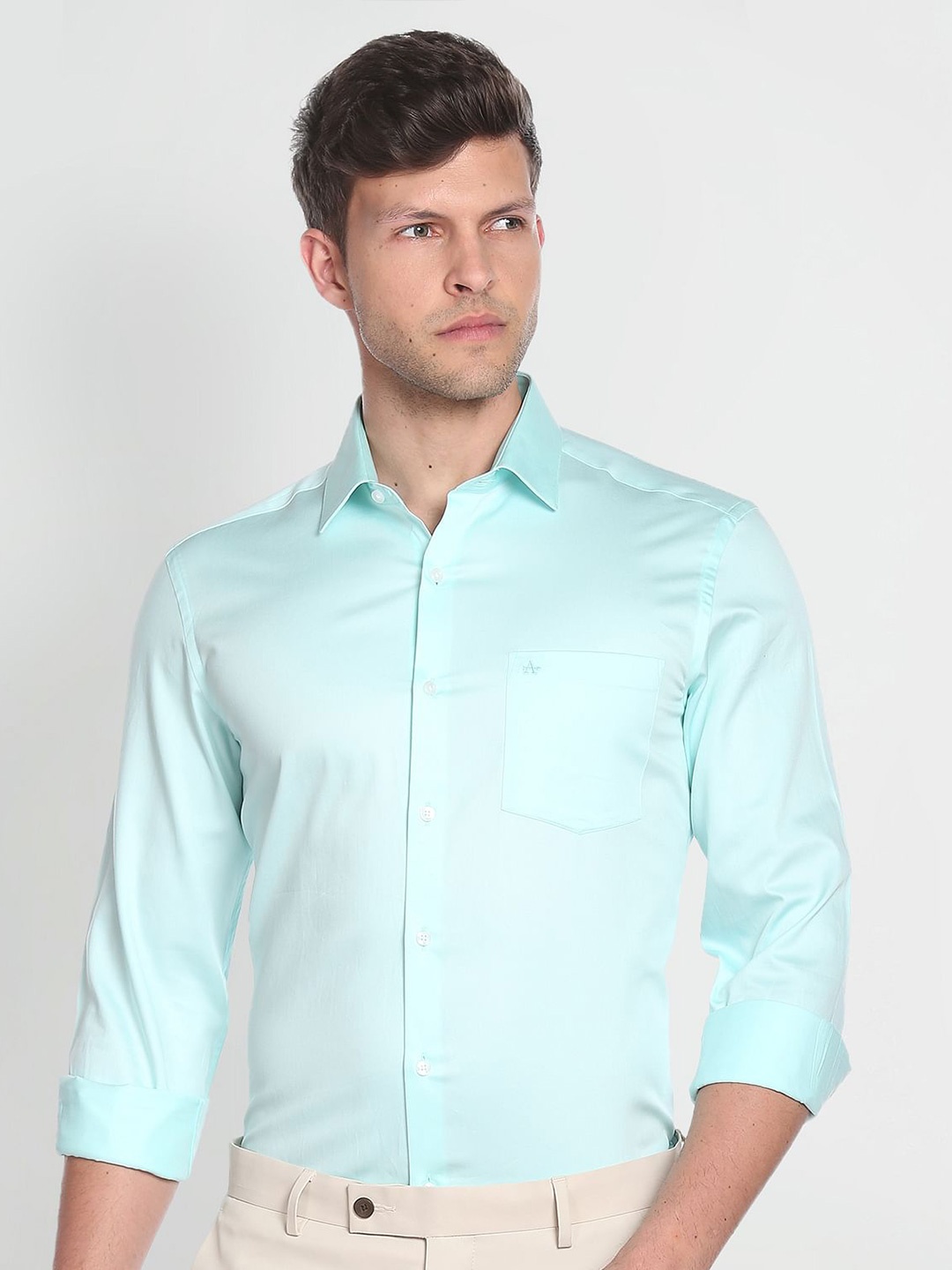 

Arrow Spread Collar Slim Fit Pure Cotton Casual Shirt, Sea green