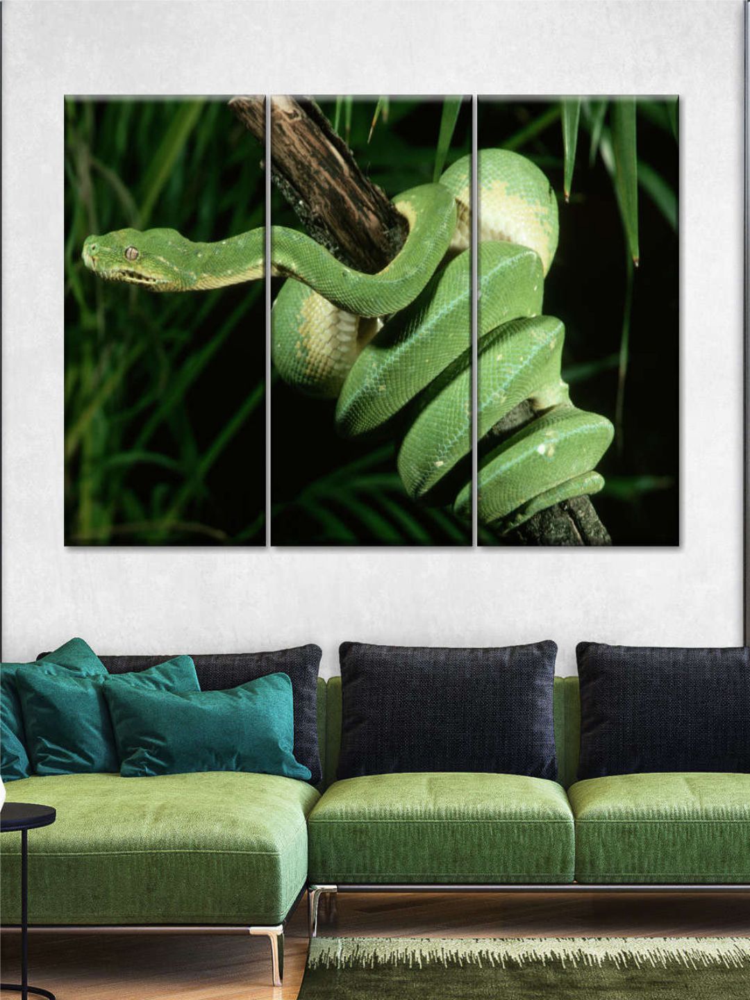 

POSTERS AND TRUSS Green & Black 3 Pieces Tree Python On A Branch Wall Art