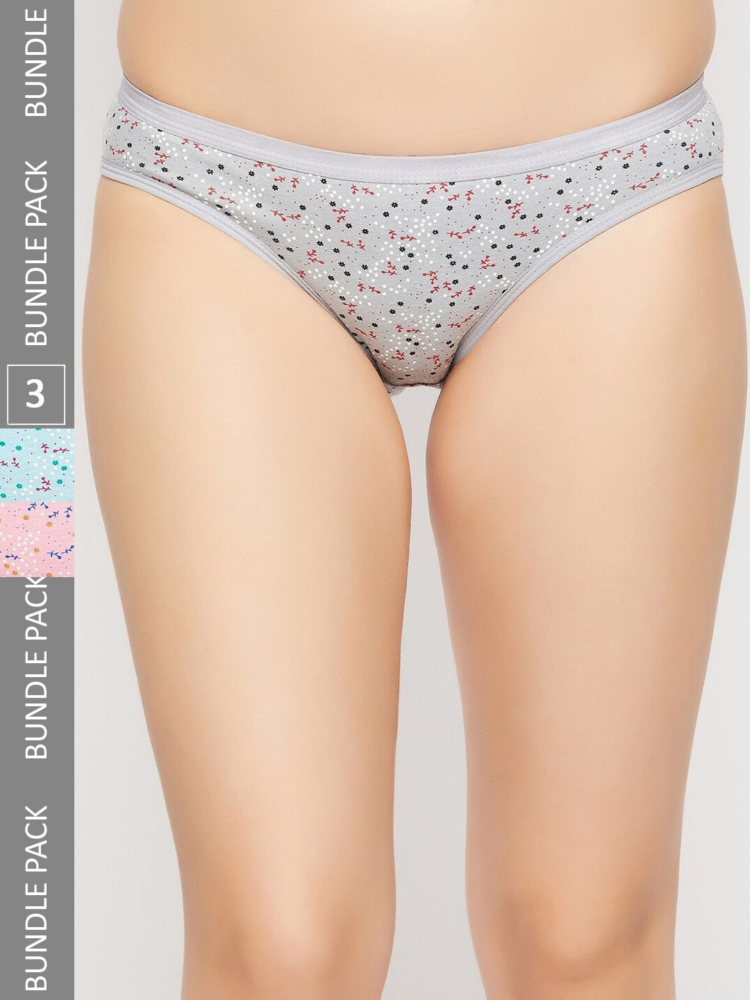 

SECRETS BY ZEROKAATA Women Pack of 3 Assorted Antimicrobial Printed Basic Briefs