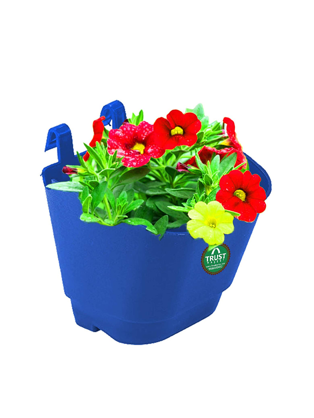 

TRUSTBASKET Blue 50-Pcs Vertical Gardening Hanging Planters