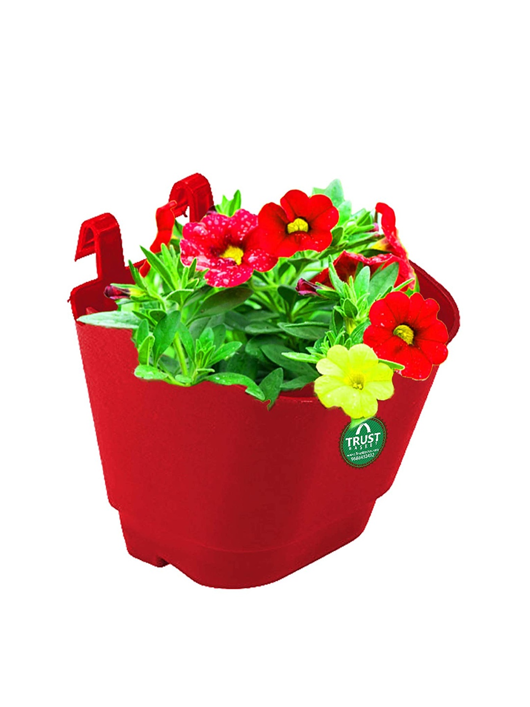 TRUSTBASKET Red 50-Pcs Vertical Gardening Hanging Planters