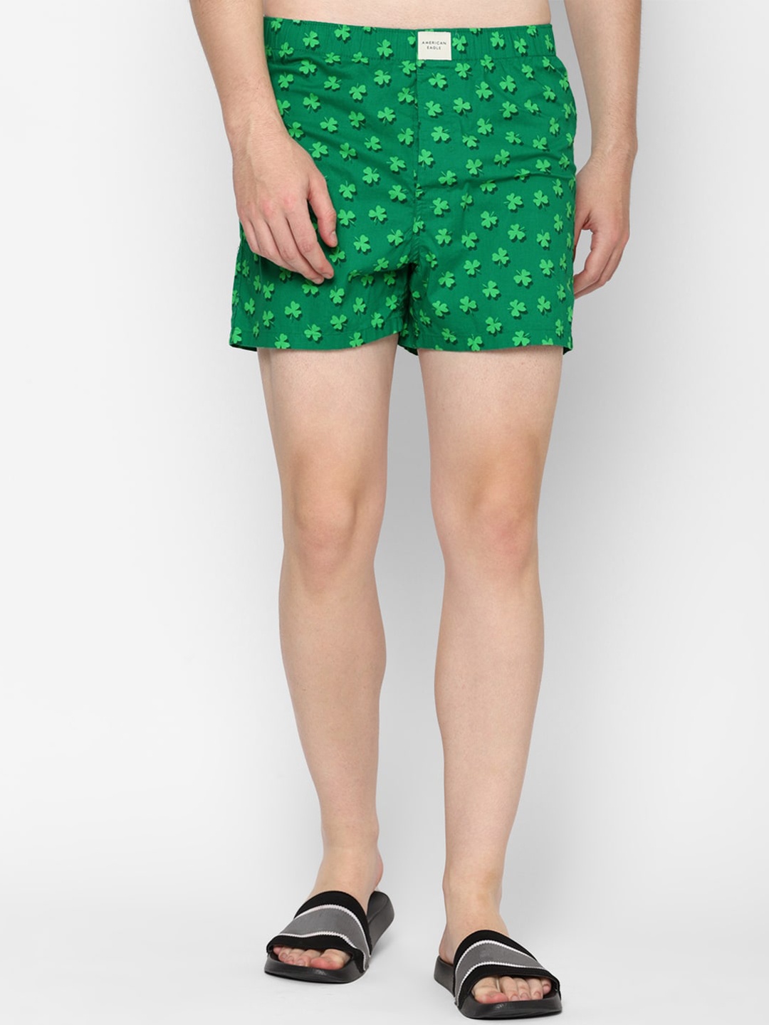 

AMERICAN EAGLE OUTFITTERS Men Printed Regular Fit Shorts, Green