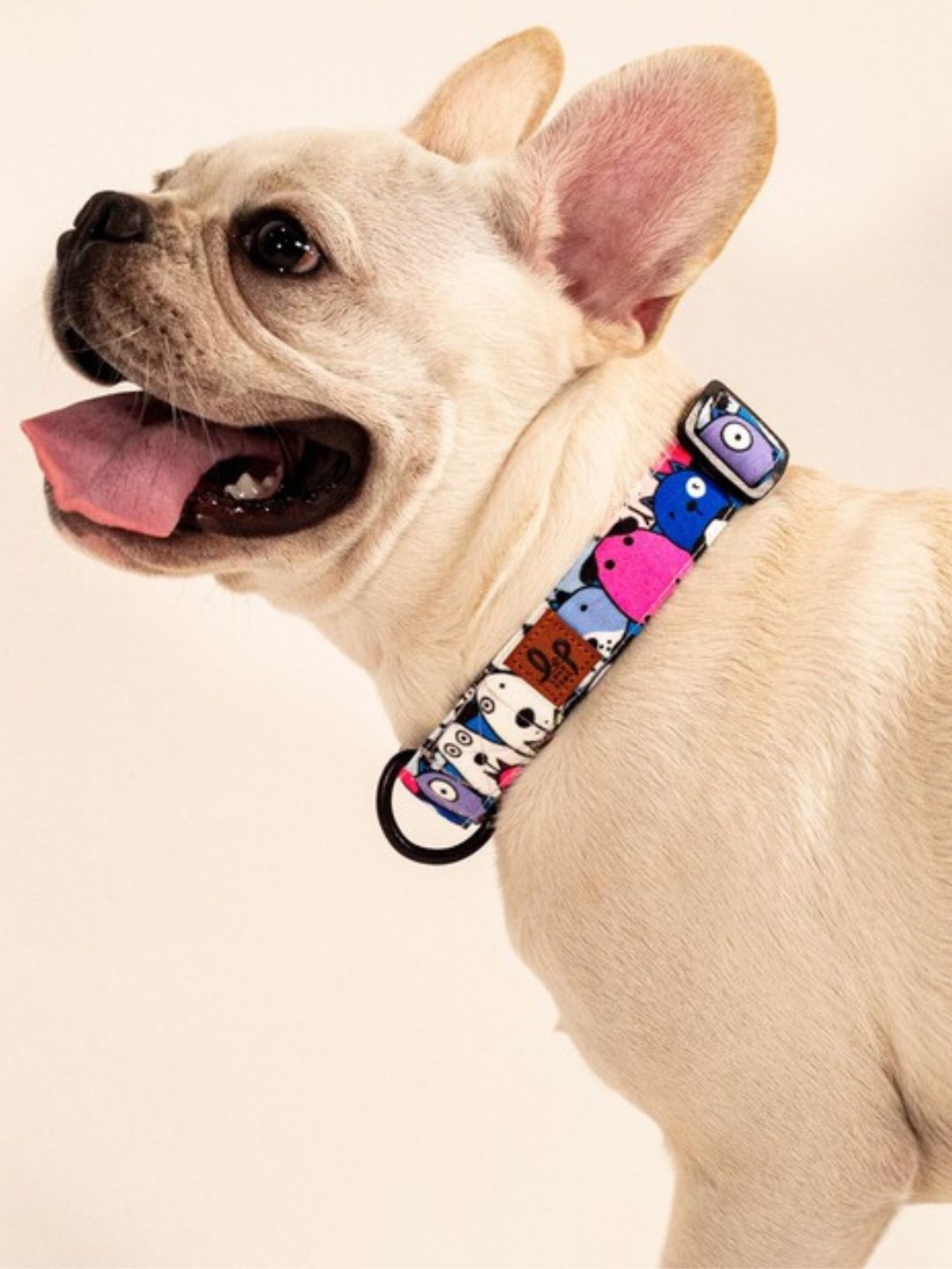 

LANA PAWS Self Designed Training Nylon Pet Collar, Blue