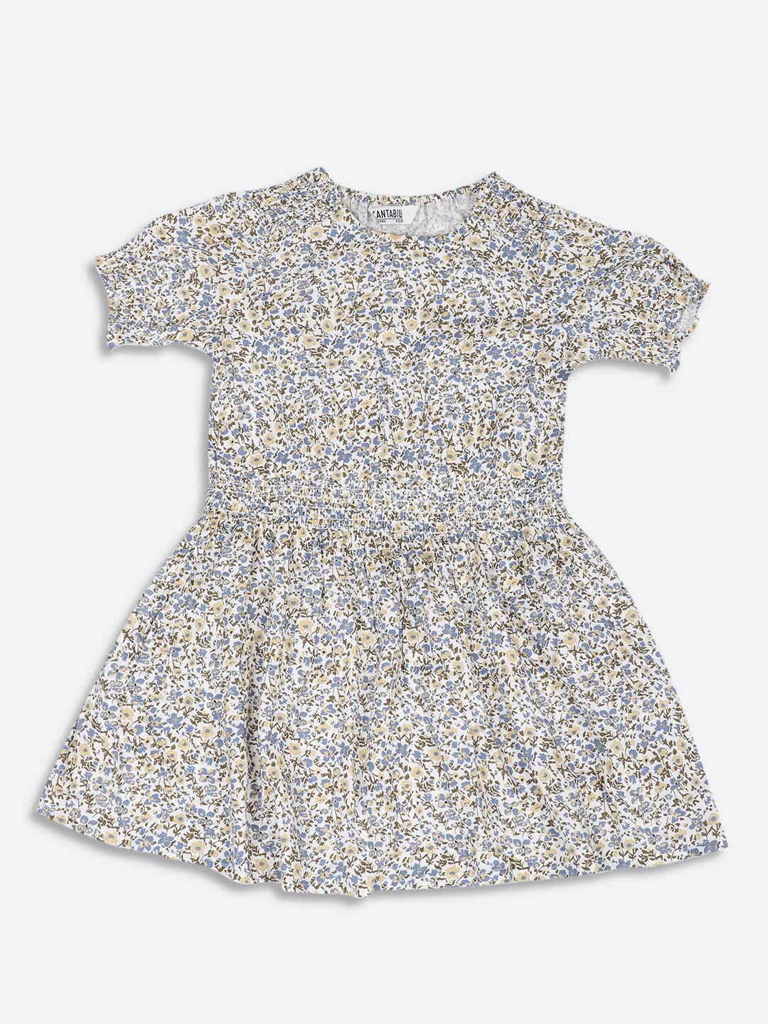 

Cantabil Girls Round Neck Floral Printed Fit And Flare Dress, Off white
