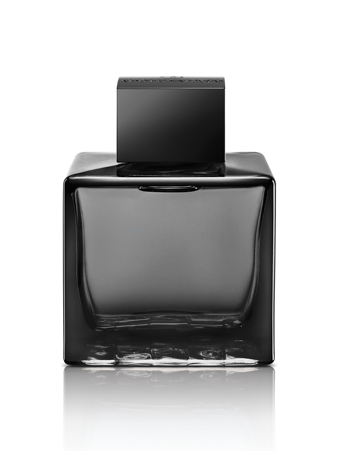 

Antonio Banderas Seduction in Black For Men Eau de Toilette 100 ml