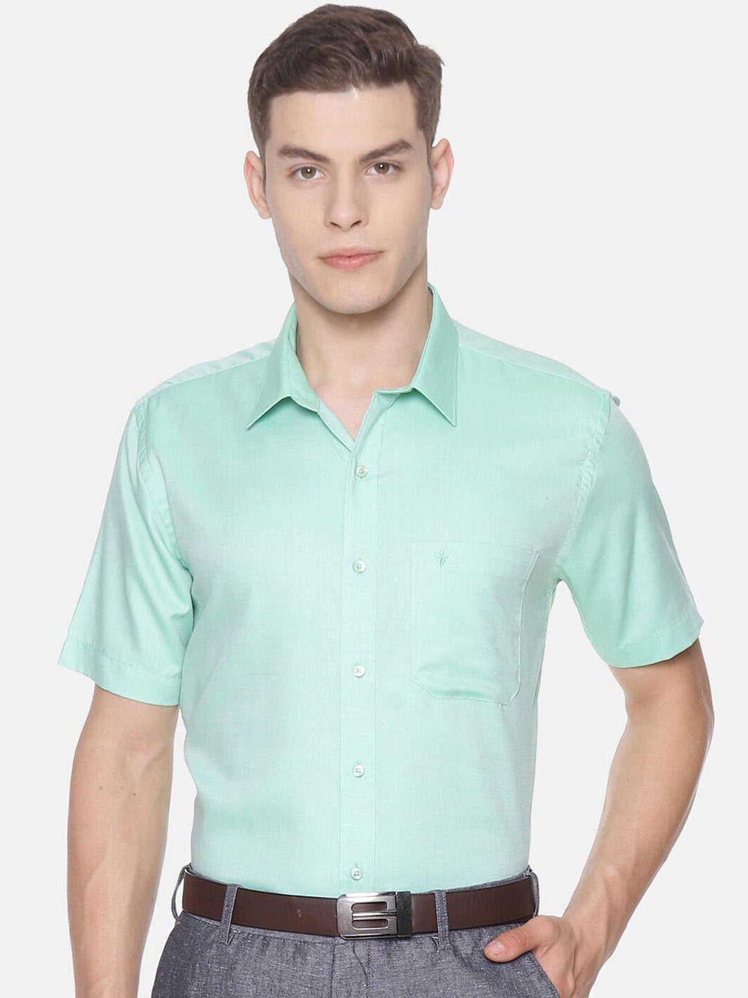 

Ramraj Original Formal Pure Cotton Shirt, Sea green