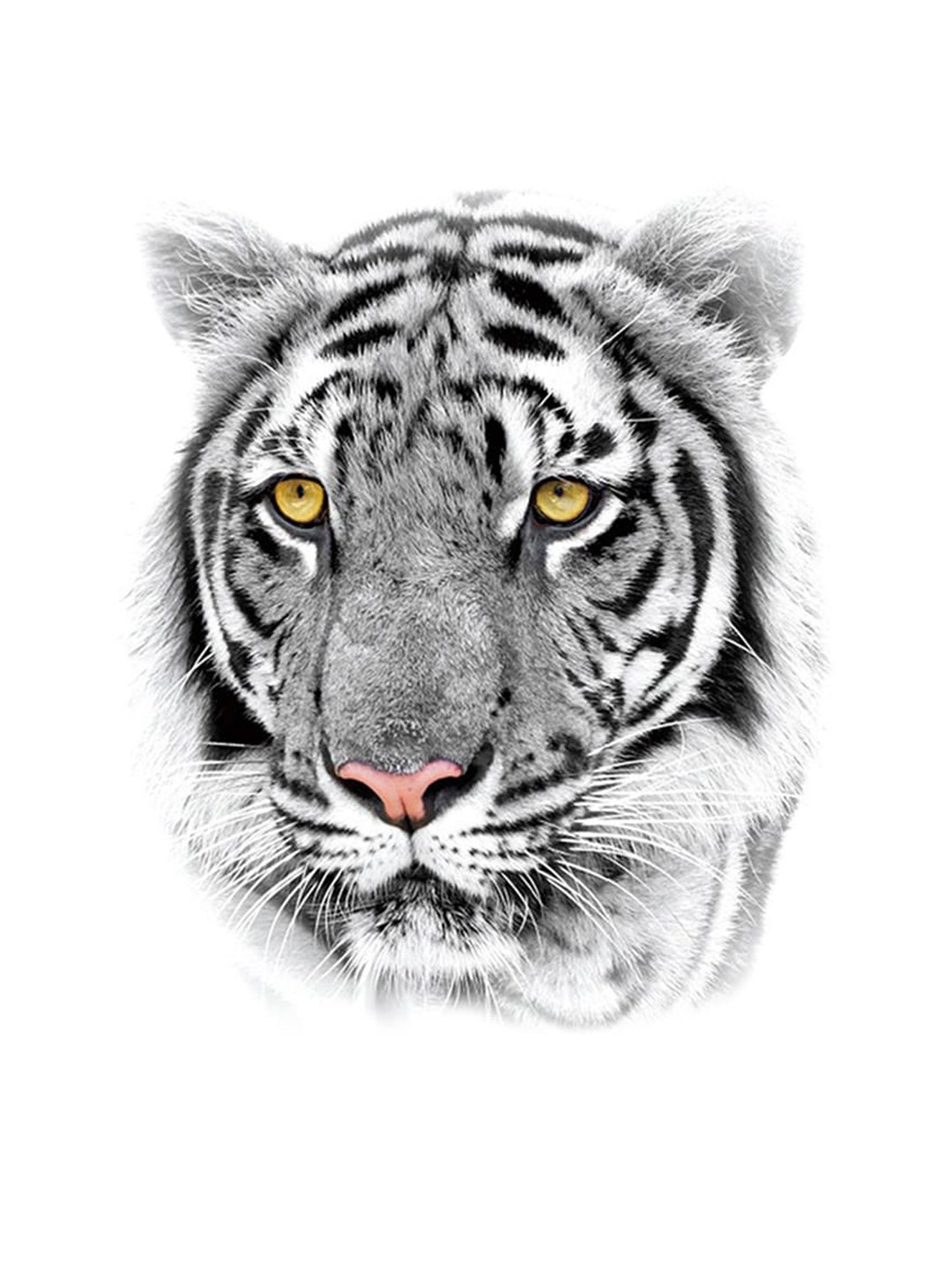 

S.A.V.I. Beautiful Tiger with Yellow Eyes Temporary Tattoo Sticker, Black