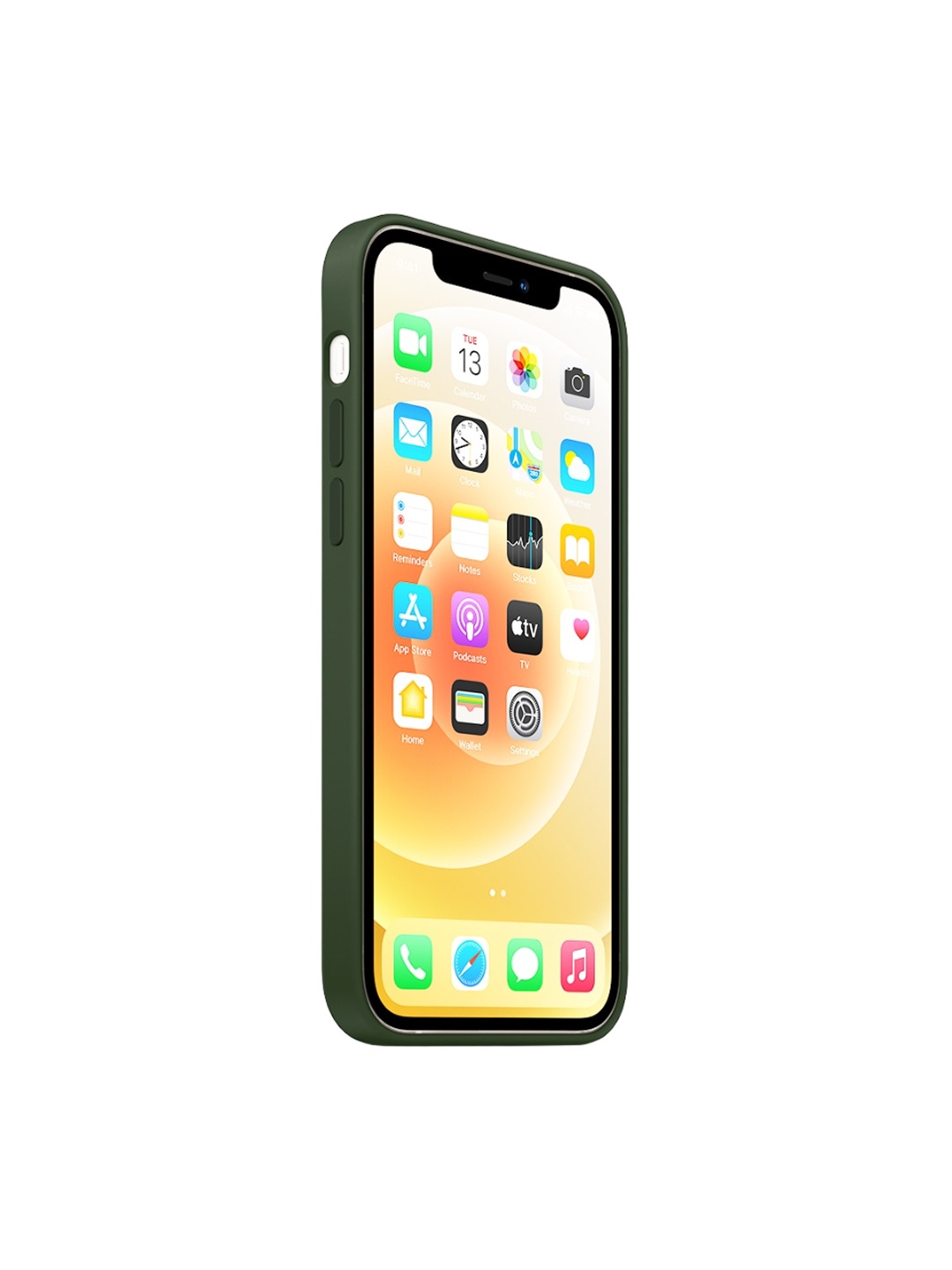 

TREEMODA iPhone 13 Pro Back Case, Green