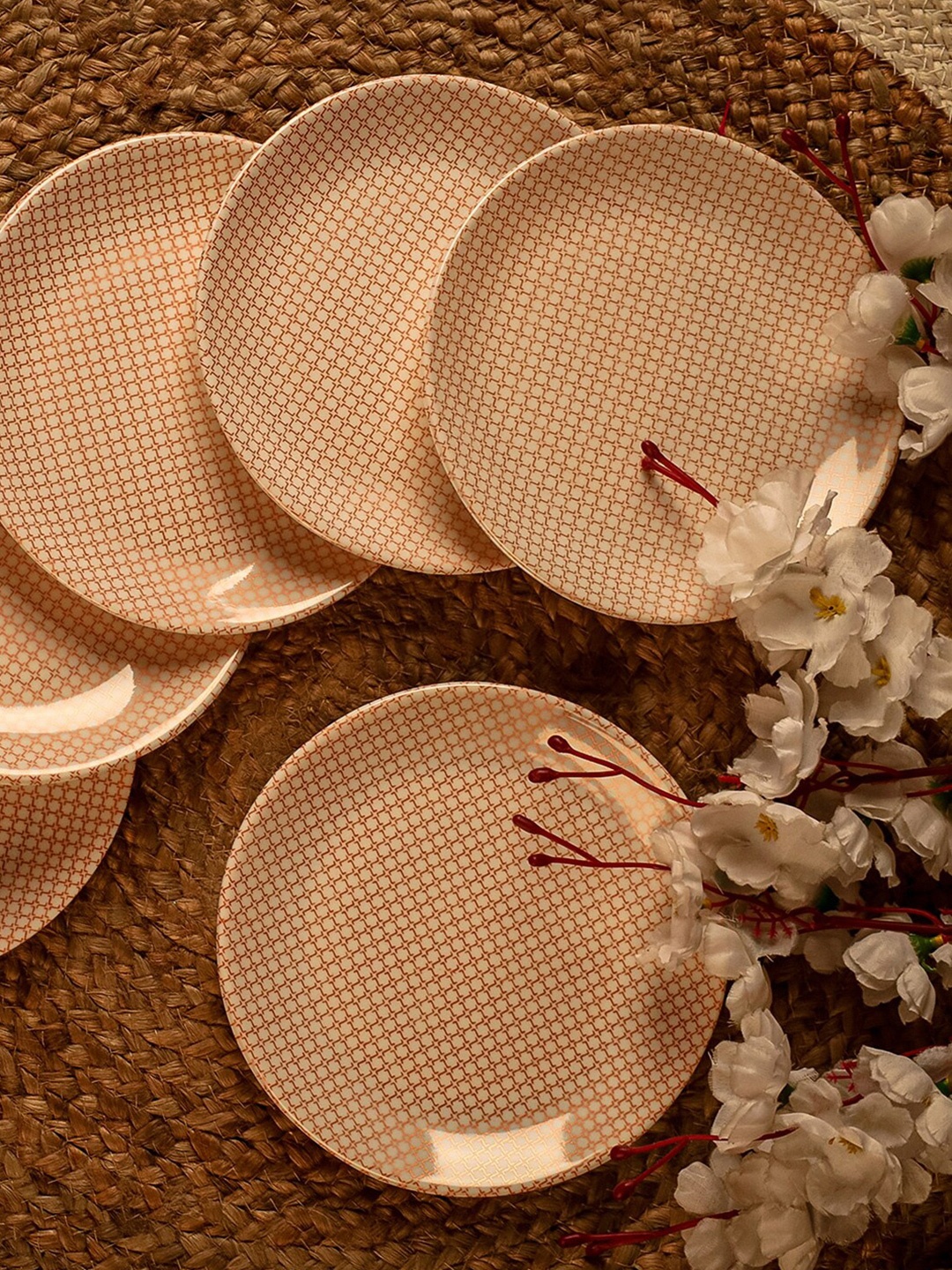 

CDI Cream & Brown 6 Pieces Printed Melamine Glossy Plates