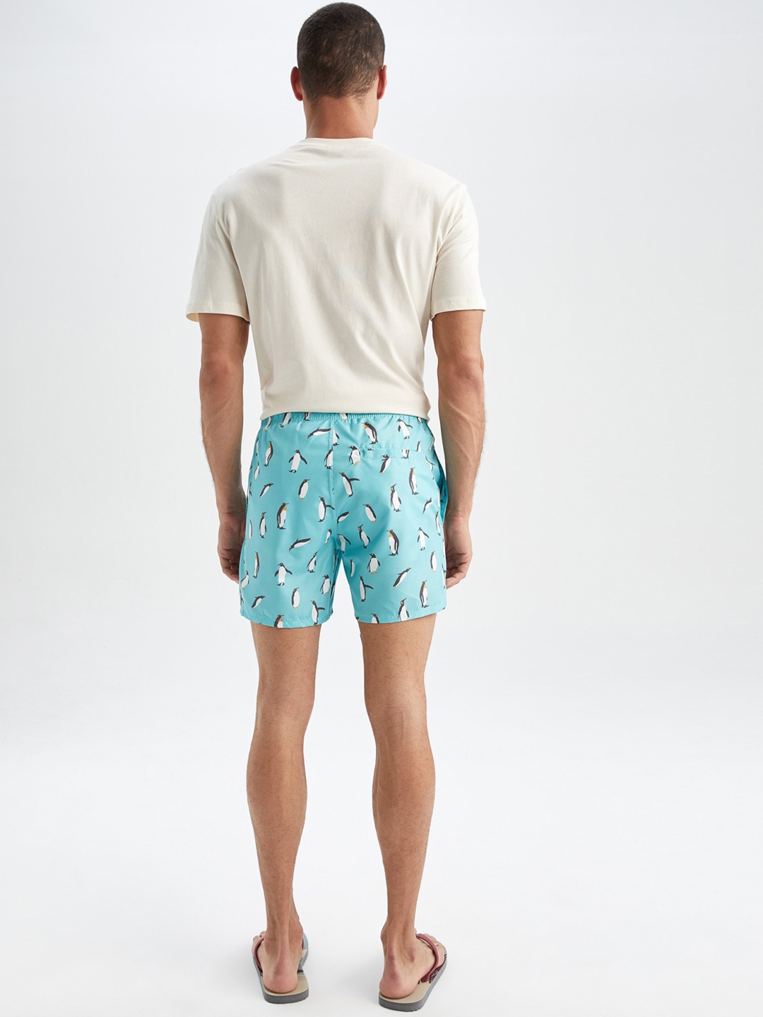 

DeFacto Men Animal Printed Mid Rise Shorts, Turquoise blue