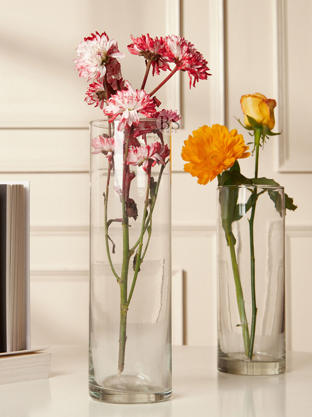 

BS AMOR 2-Pcs Transparent Cylindrical Glass Flower Vases