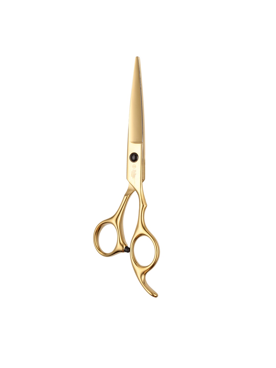 

Beaute Secrets Professional 6 Inch Hair Cutting Scissors - Gold