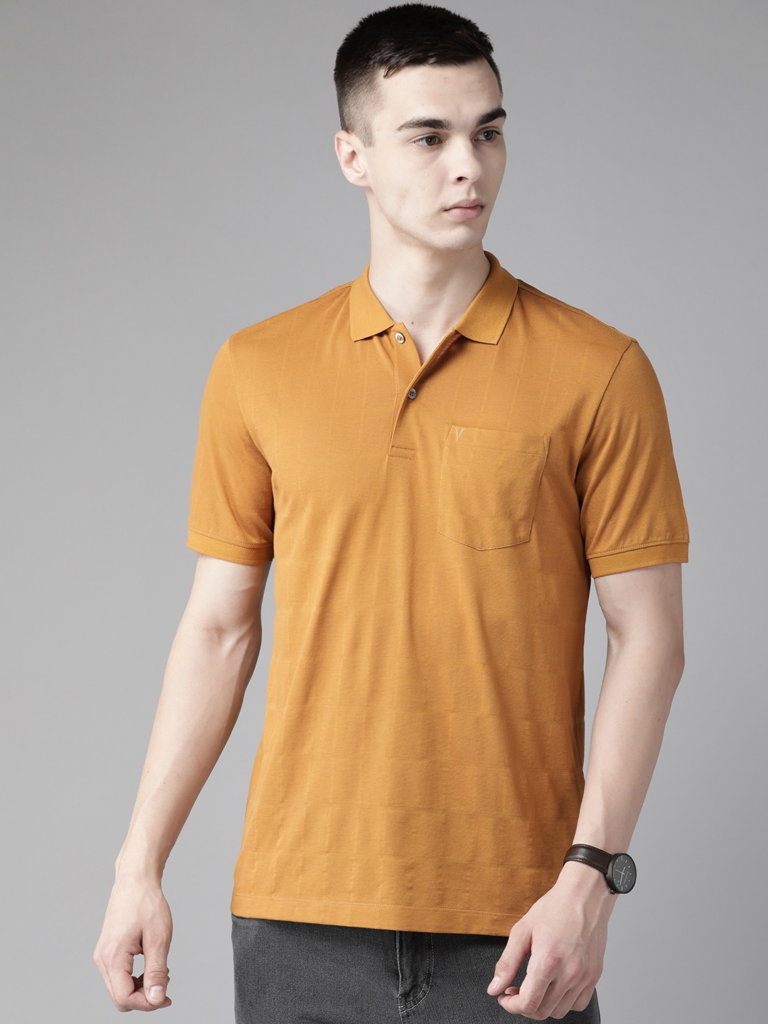 

Van Heusen Polo Collar Pure Cotton Slim Fit T-shirt, Mustard