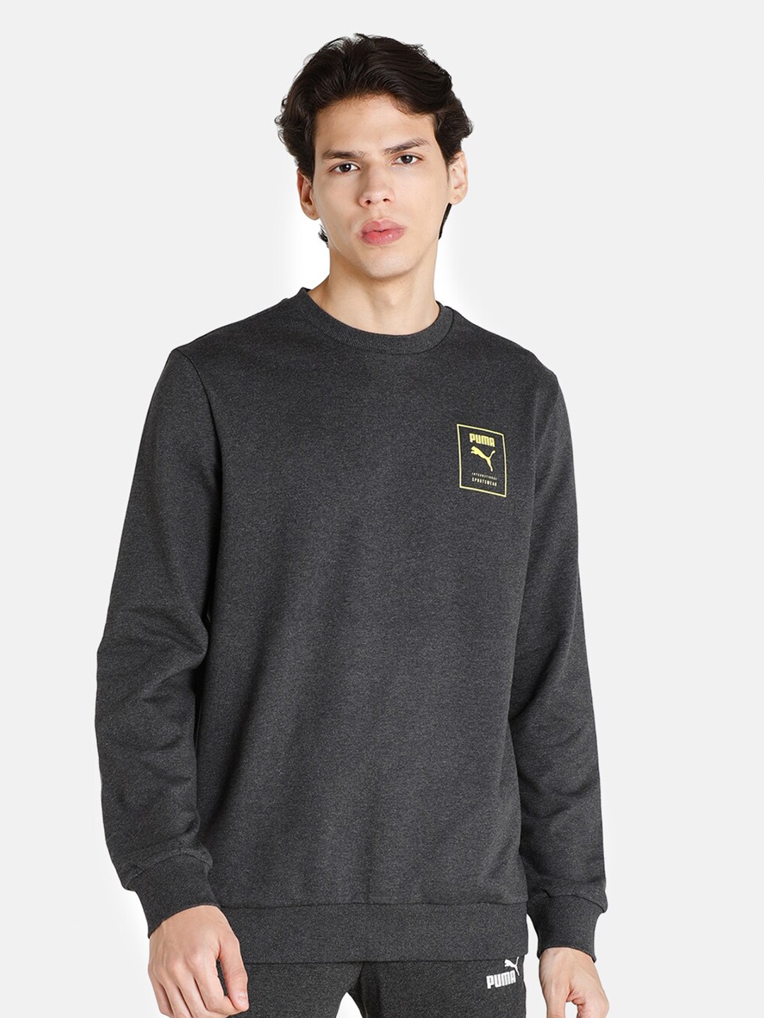 

Puma Men MS Crew Cotton Regular Fit Sweatshirt, Grey