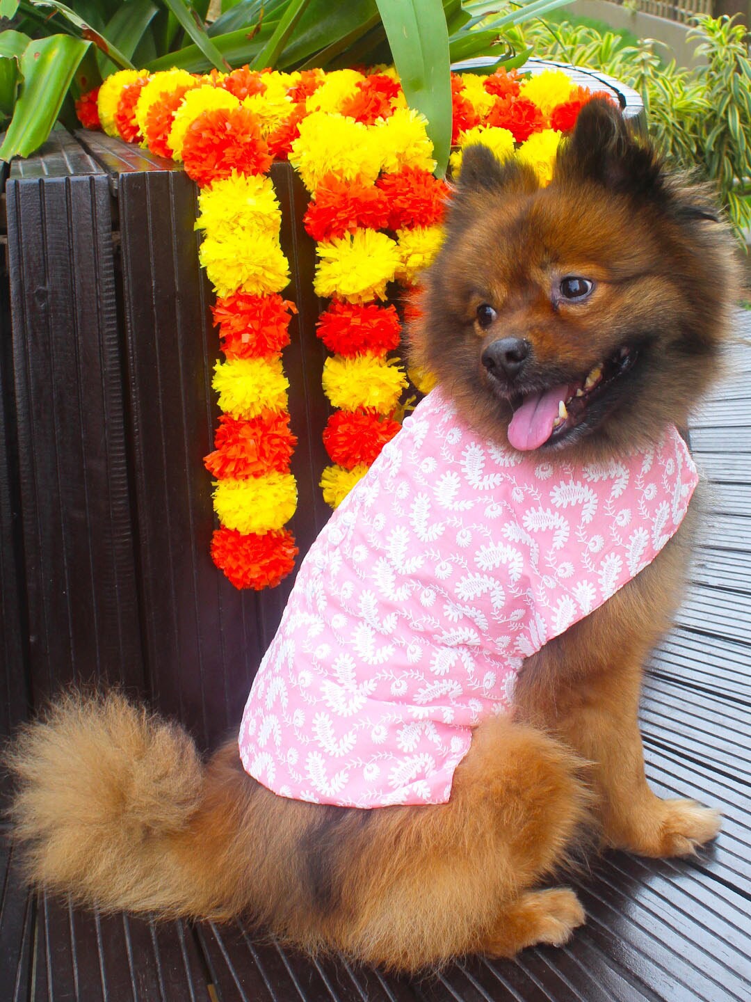 

VASTRAMAY Chikankari Pure Cotton Dog Dress, Pink
