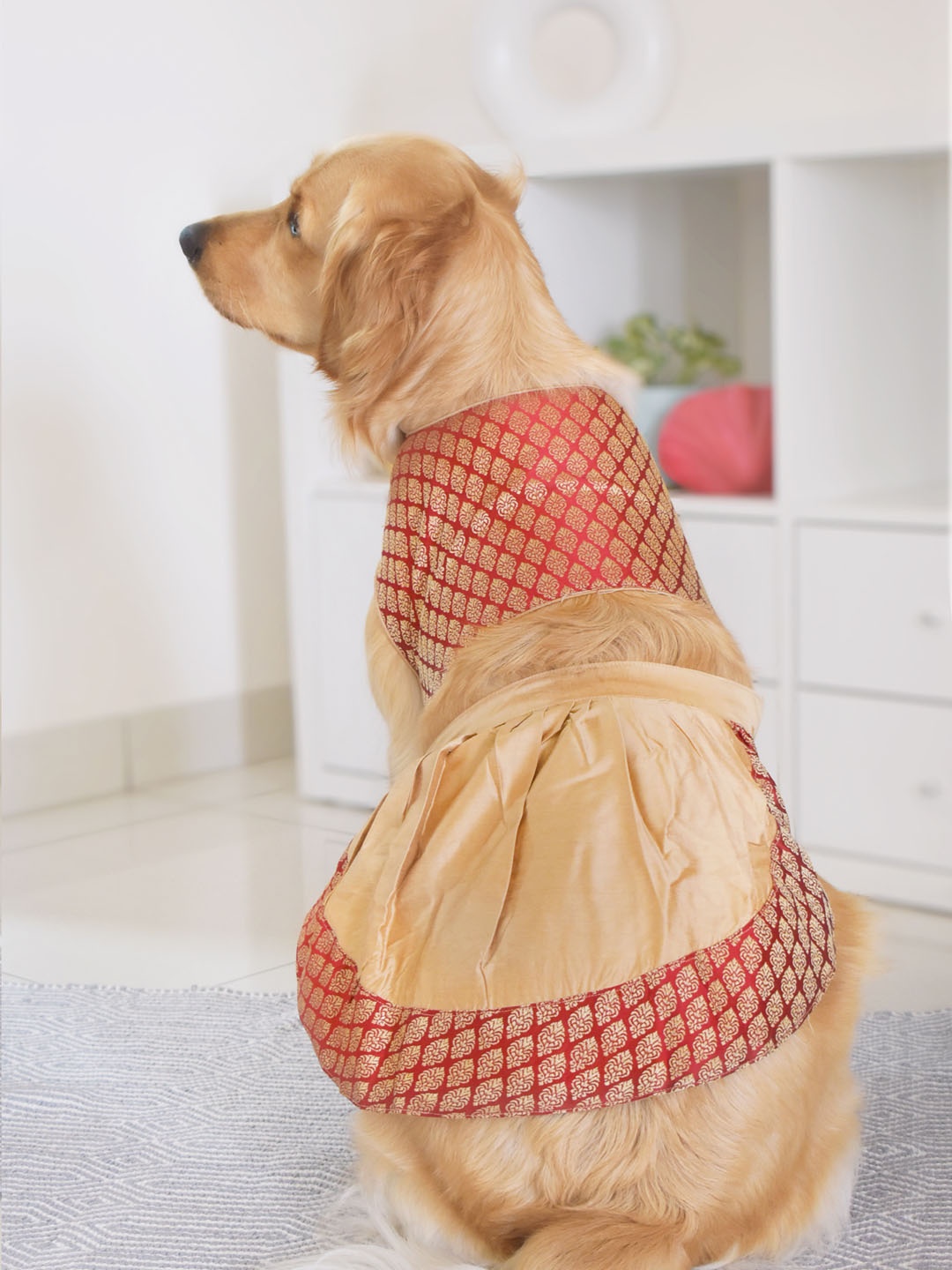 

VASTRAMAY Banarasi Brocade Woven Dog Lehenga Choli, Maroon