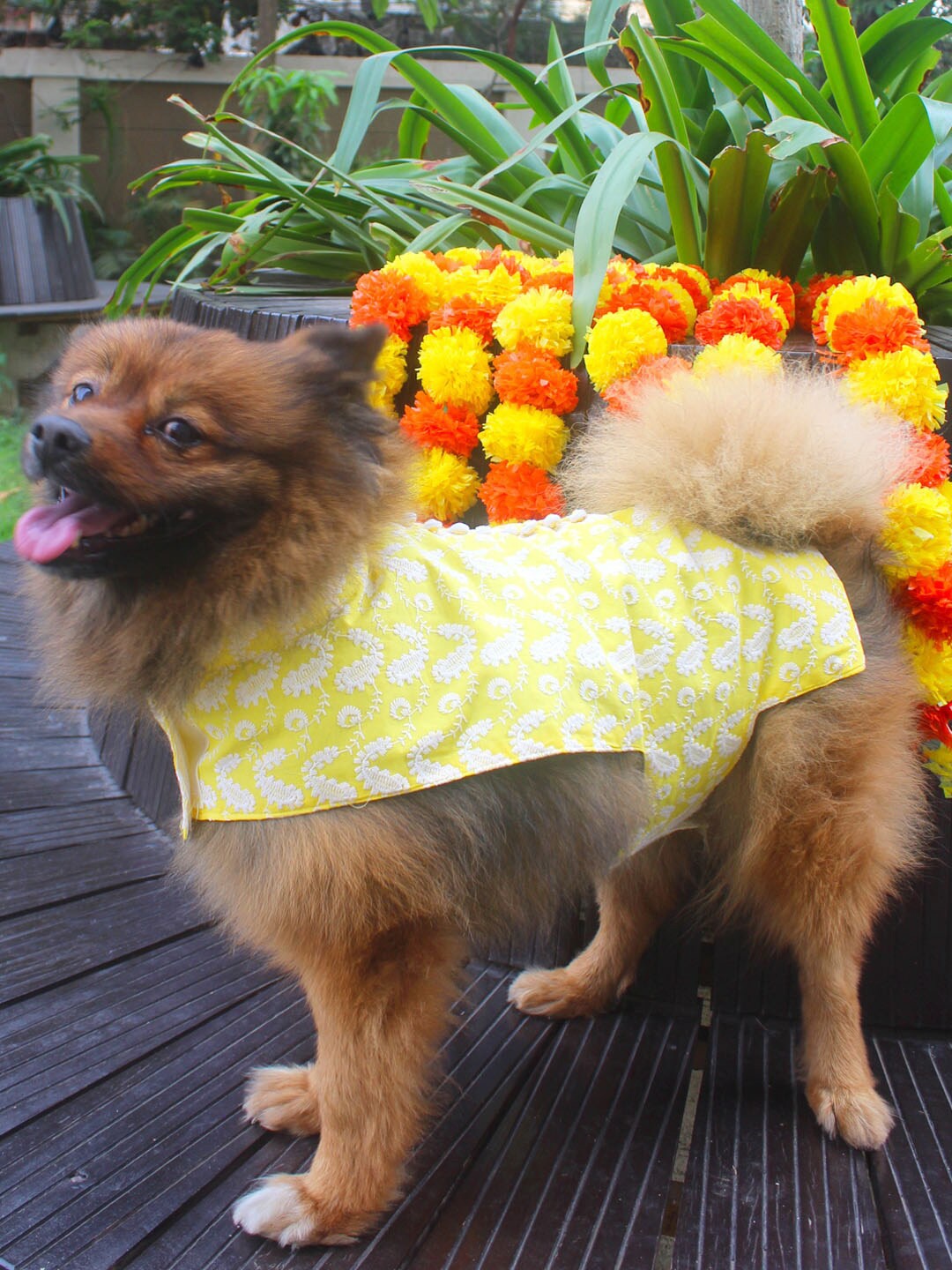 

VASTRAMAY Chikankari Pure Cotton Dog Dress, Mustard