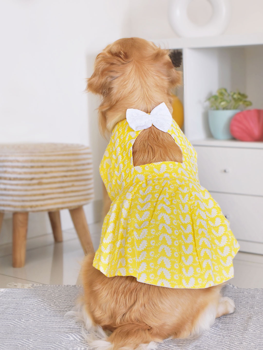 

VASTRAMAY Chikankari Embroidered Pure Cotton Dog Dress, Mustard