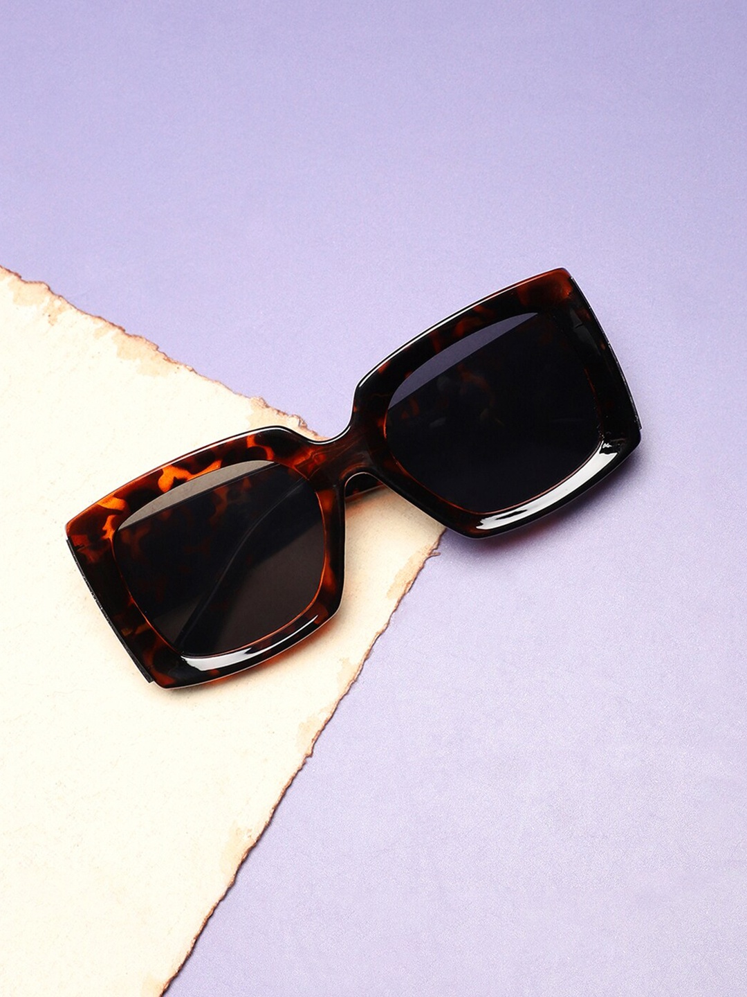 

French Accent Men Other Sunglasses with Polarised Lens SS23FA_HSSG1320, Brown