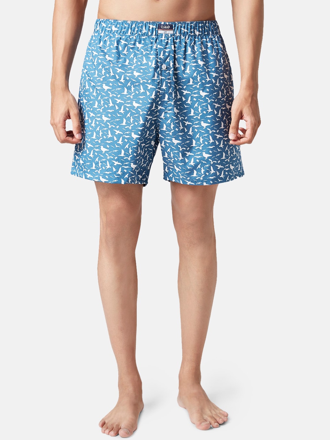 

Ajile by Pantaloons Abstract Printed Pure Cotton Boxers, Blue
