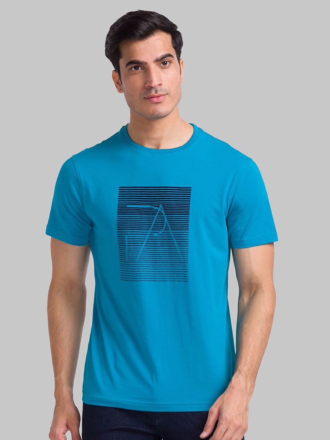 

Park Avenue Graphic Printed Round Neck Slim Fit T-shirt, Blue