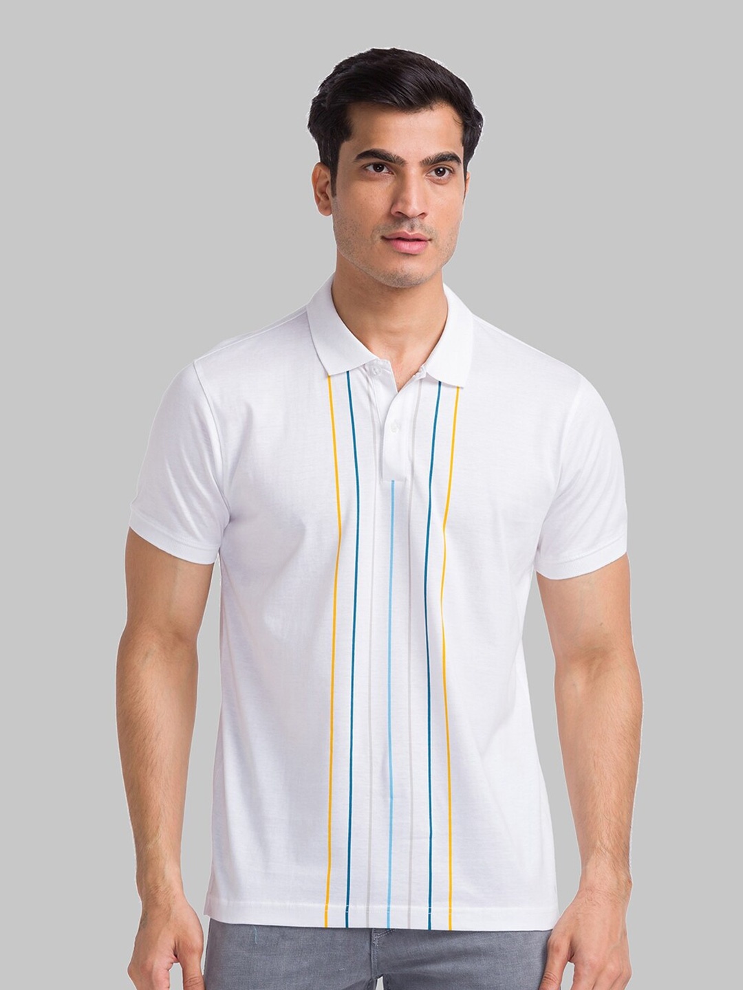 

Park Avenue Striped Polo Collar Pure Cotton Slim Fit T-shirt, White
