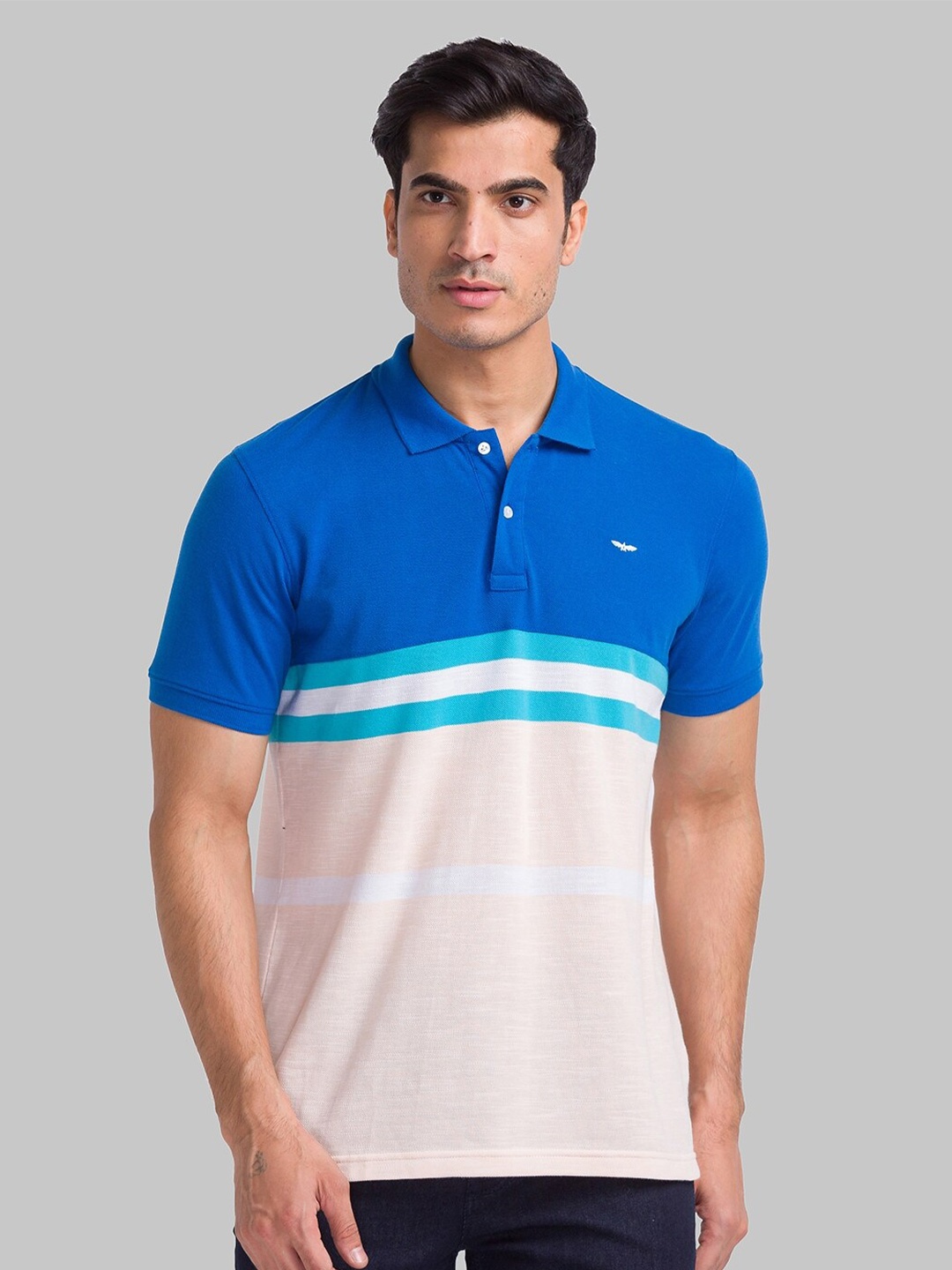 

Park Avenue Striped Polo Collar Slim Fit T-shirt, Blue