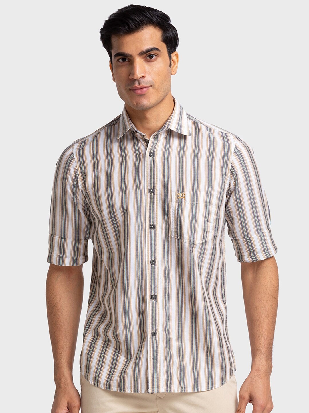 

ColorPlus Striped Spread Collar Casual Shirt, Brown