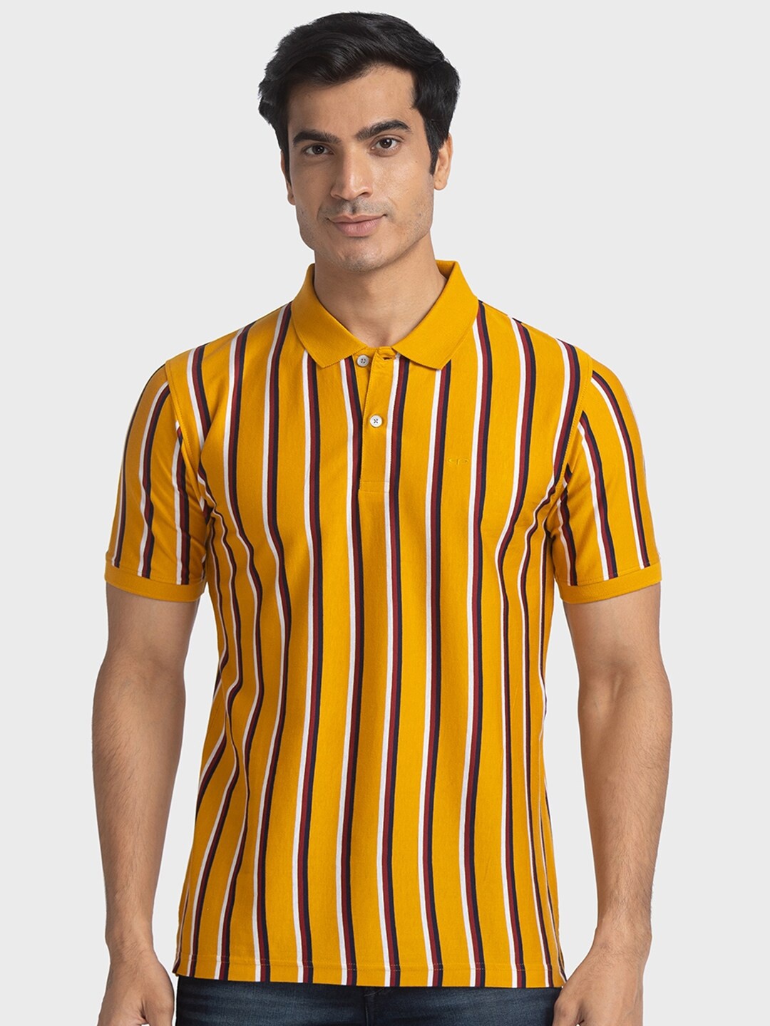

ColorPlus Striped Polo Collar Pure Cotton Slim Fit T-Shirt, Mustard