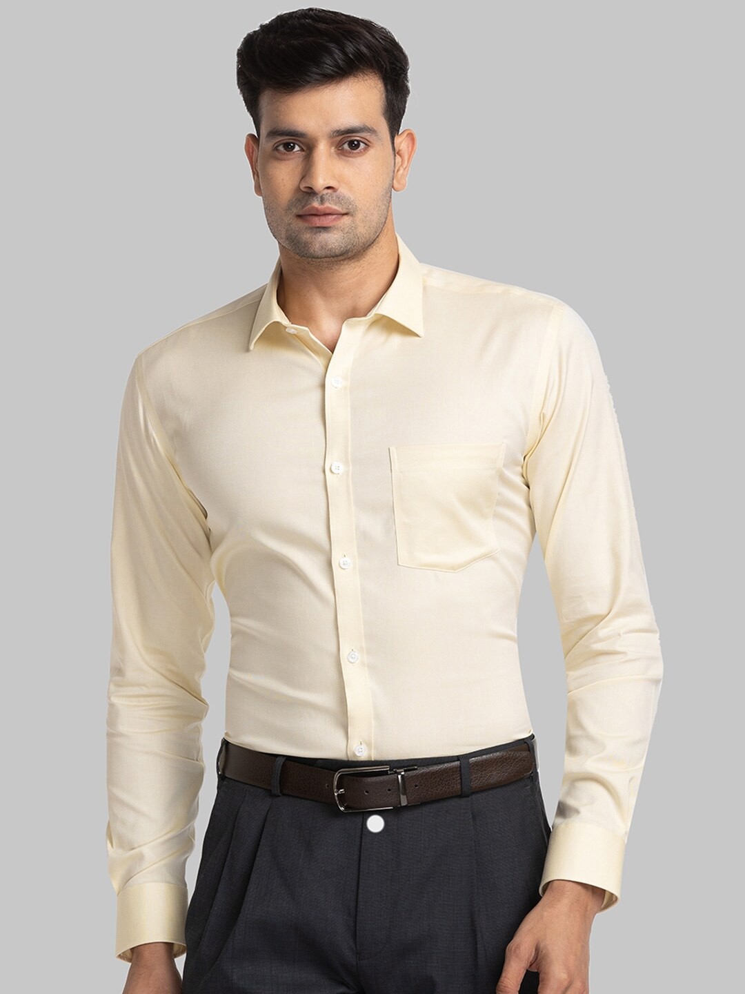 

Park Avenue Slim Fit Spread Collar Pure Cotton Formal Shirt, Yellow