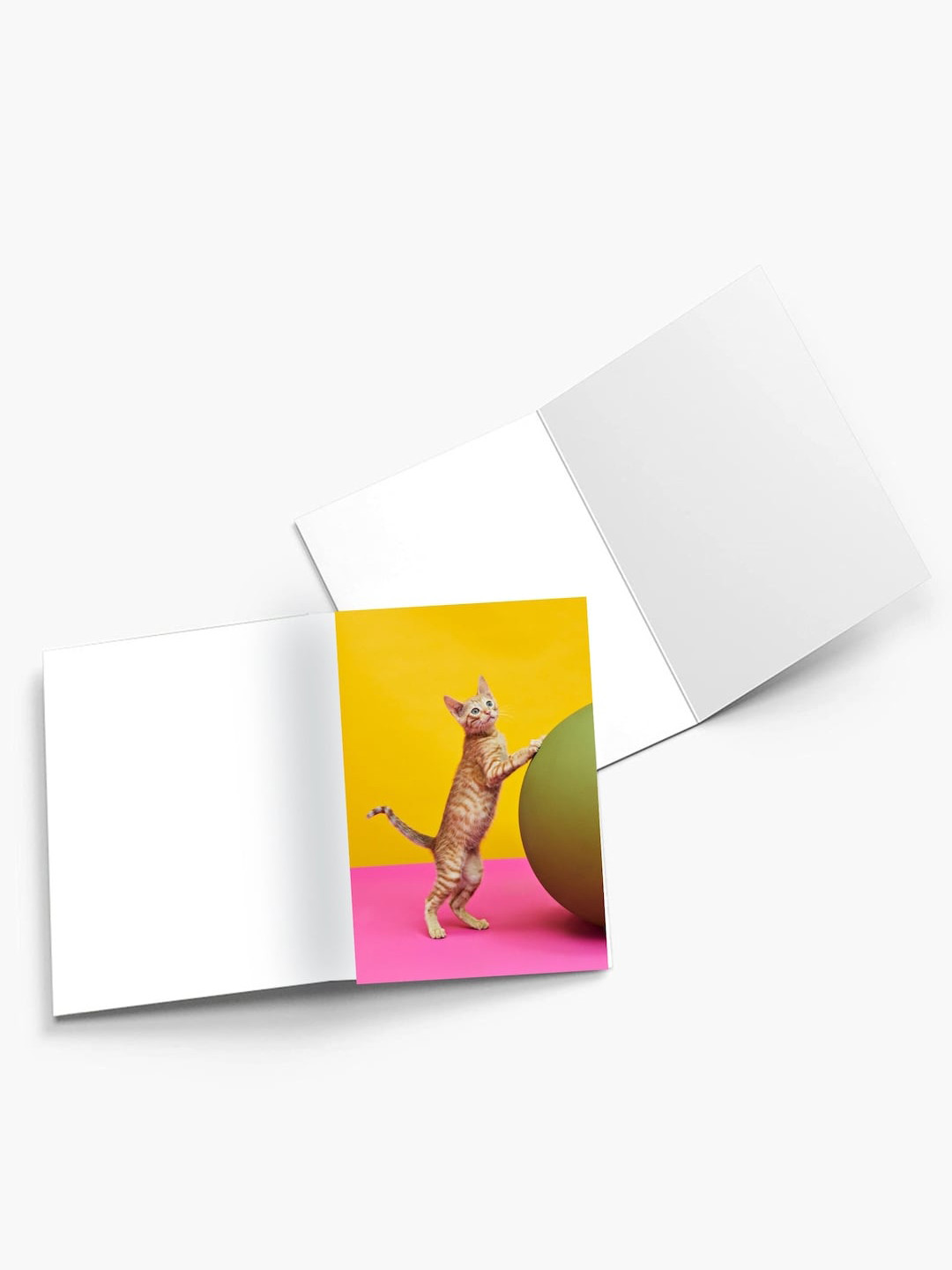 

K&U Set of 8 Multicolor Expressions Cute Pets Theme Printed Notecards with Envelopes, Pink