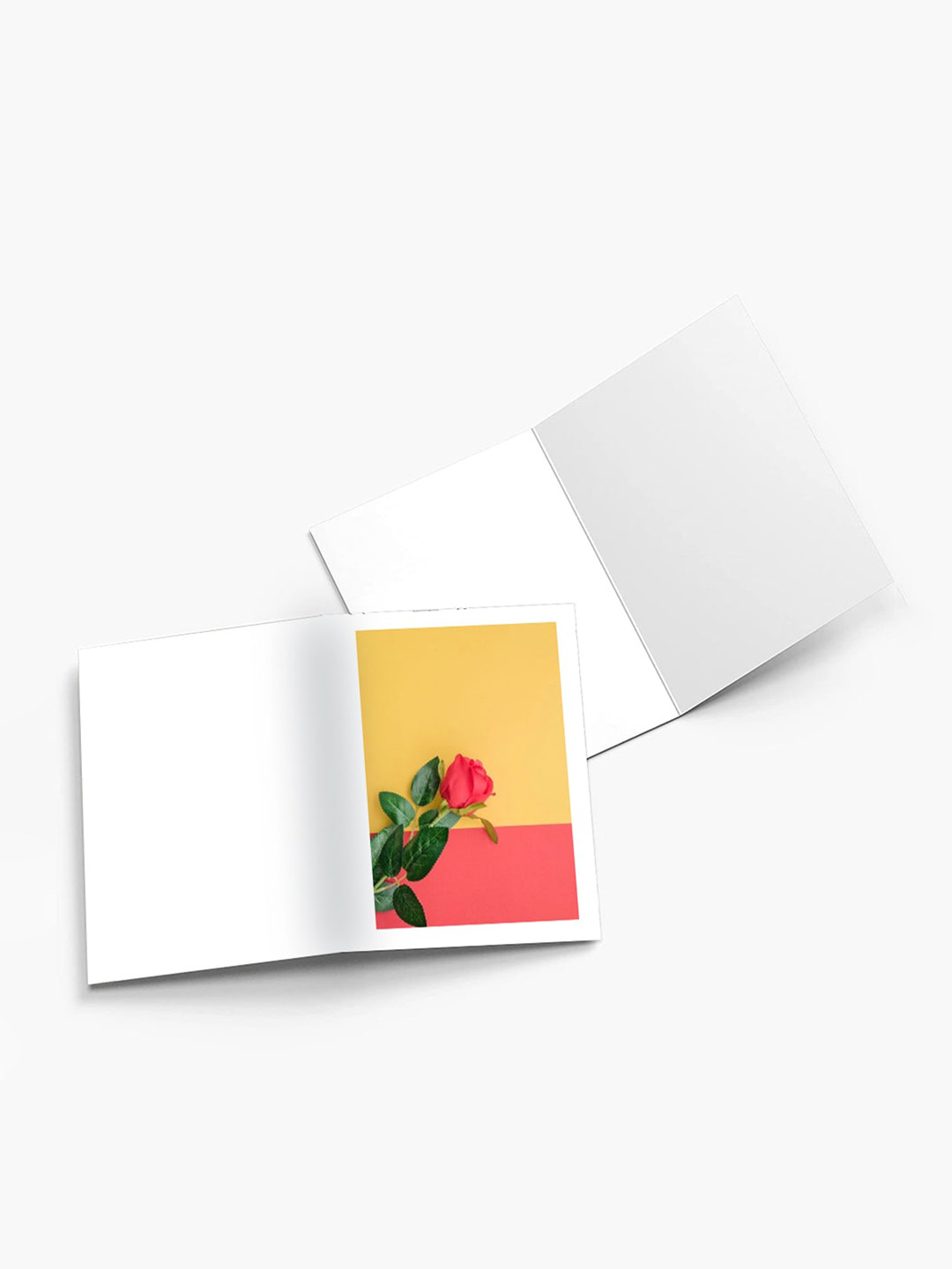 

K&U Set of 8 Plants Printed Notecards With Envelopes, Yellow