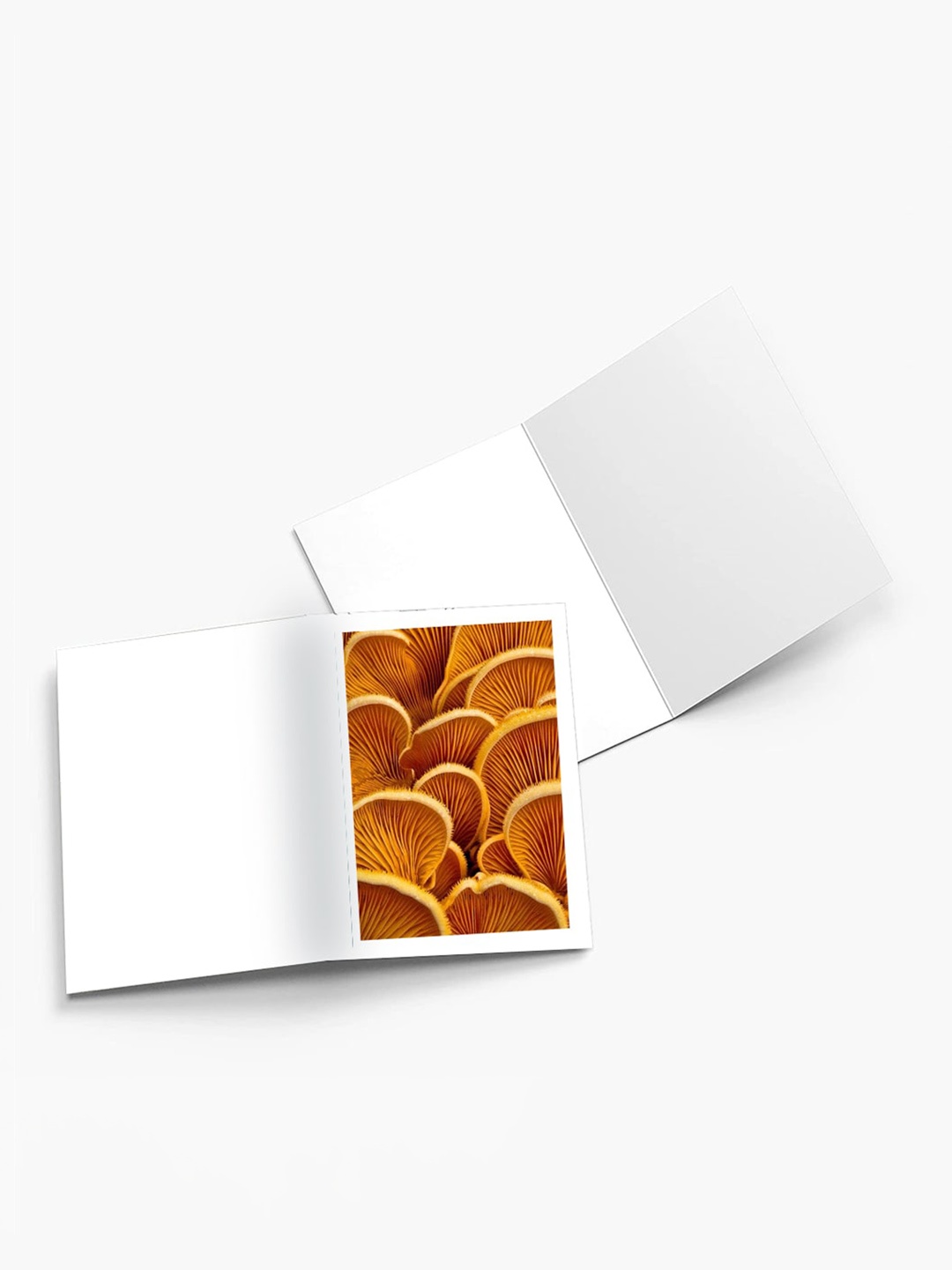 

K&U Set of 8 Leaves Printed Notecards With Envelopes, Green