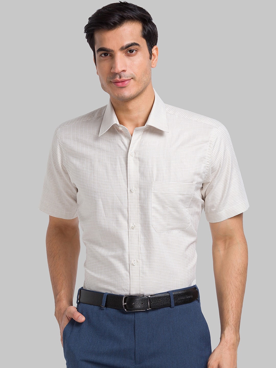 Raymond Checked Spread Collar Contemporary Fit Formal Shirts, Beige