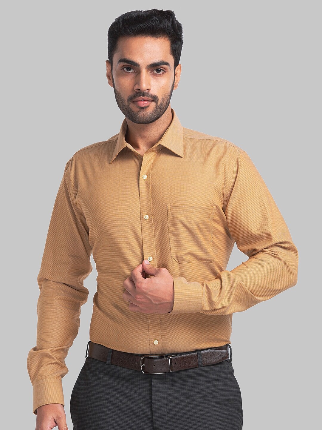 

Raymond Spread Collar Long Sleeves Pure Cotton Formal Shirt, Brown